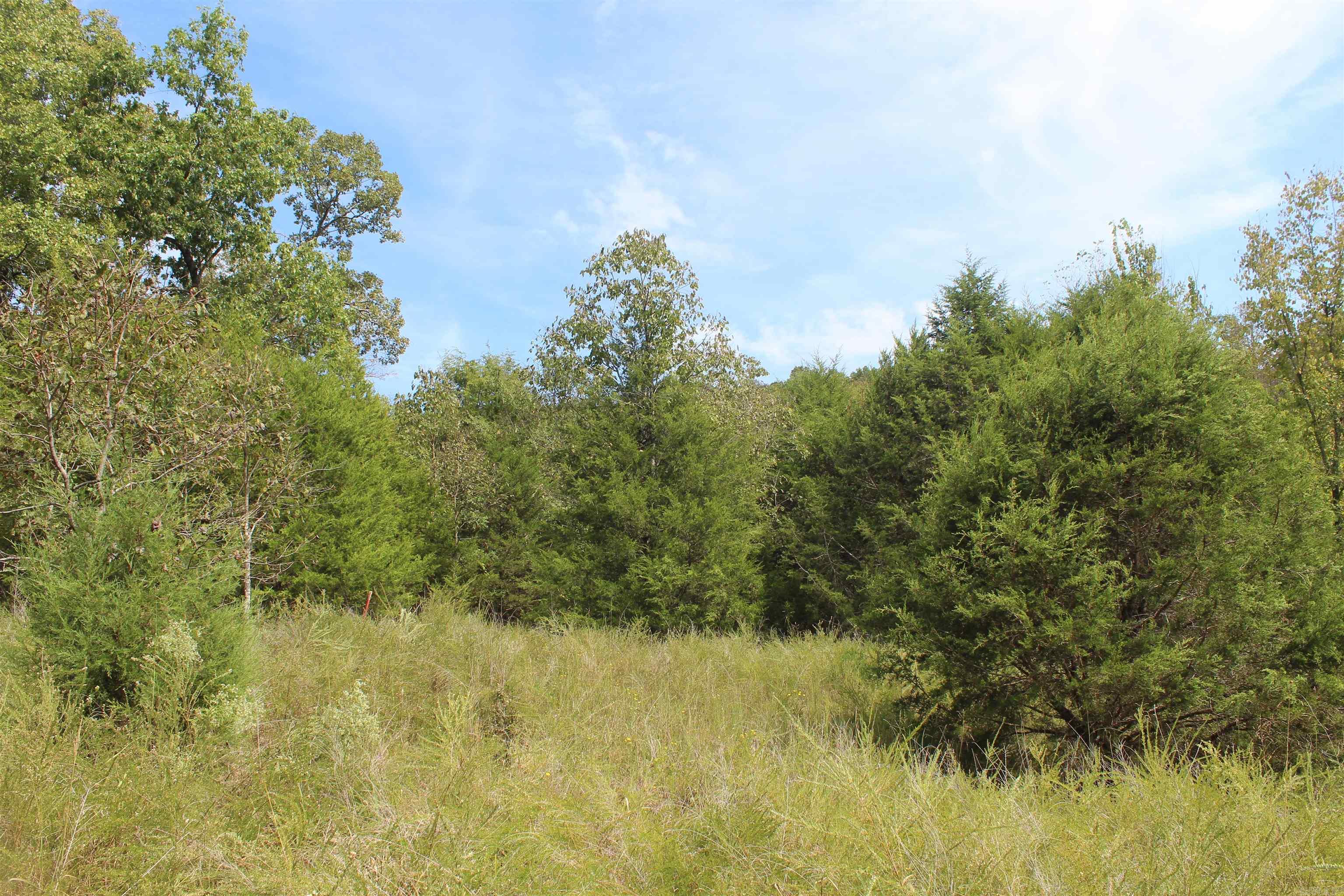 7727 Mc 6064 Property Photo 19