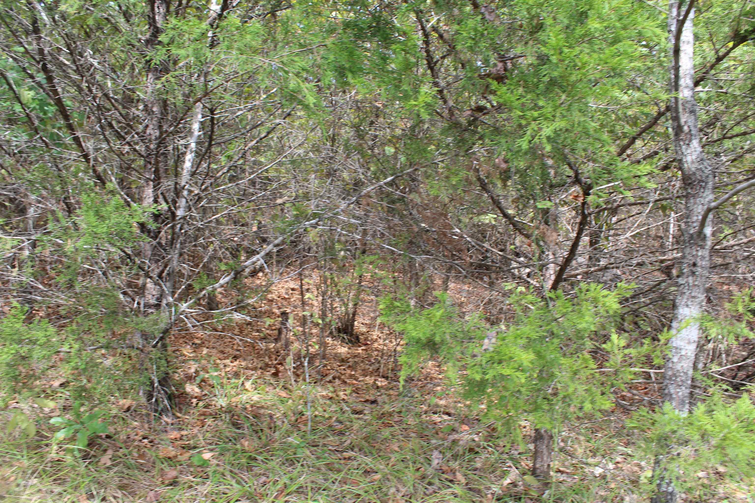 7727 Mc 6064 Property Photo 20