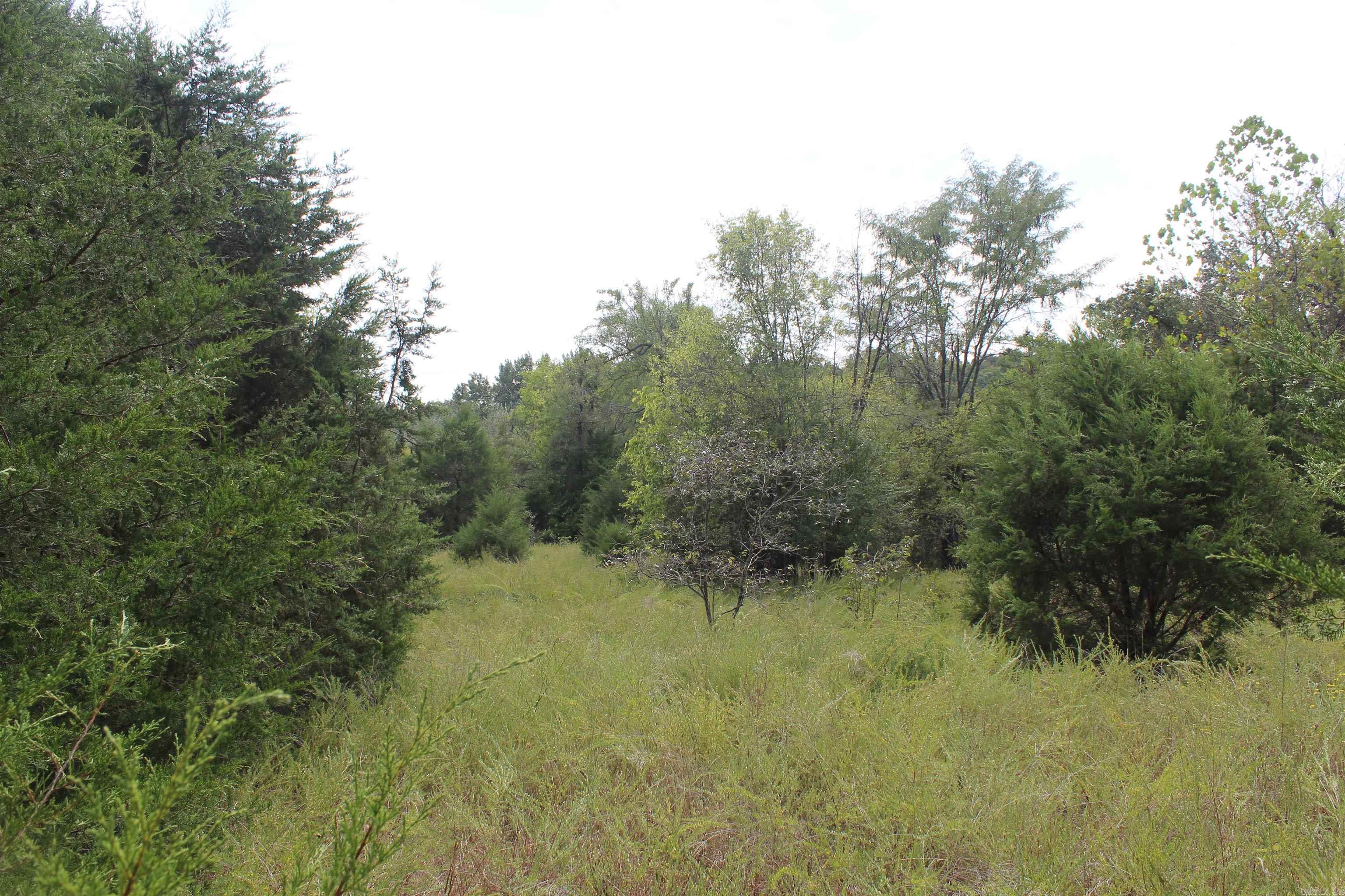 7727 Mc 6064 Property Photo 21