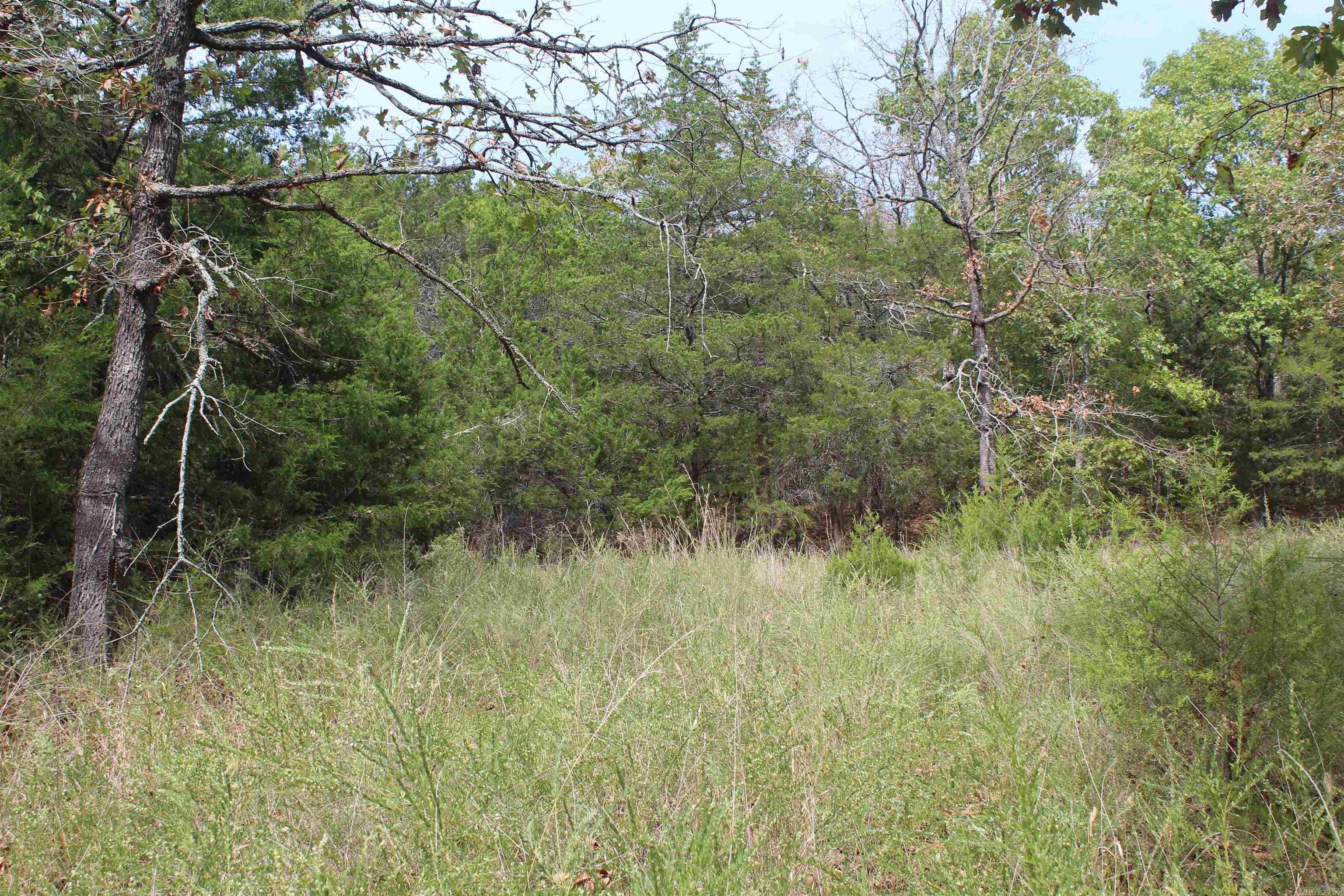 7727 Mc 6064 Property Photo 22