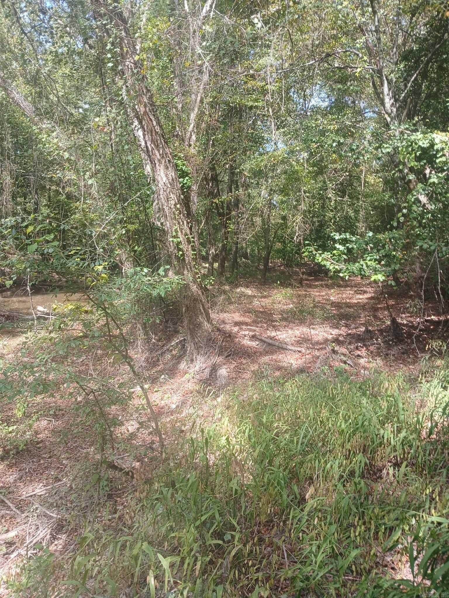 33.00 Acres Hwy 270 Property Photo 6