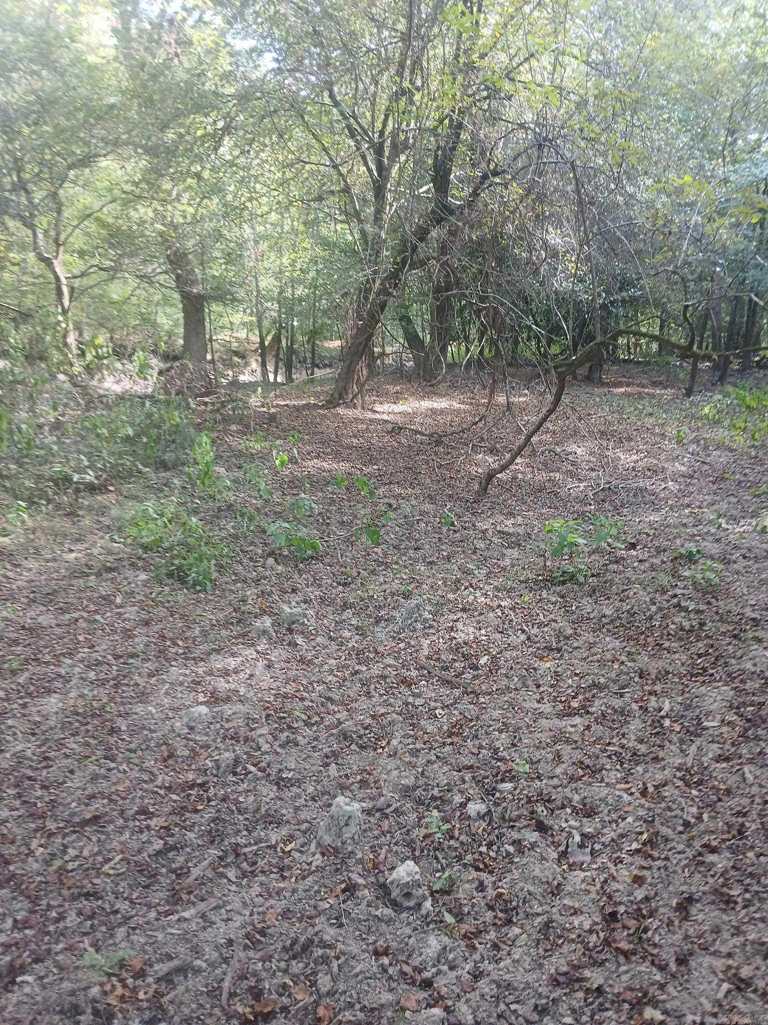 33.00 Acres Hwy 270 Property Photo 15