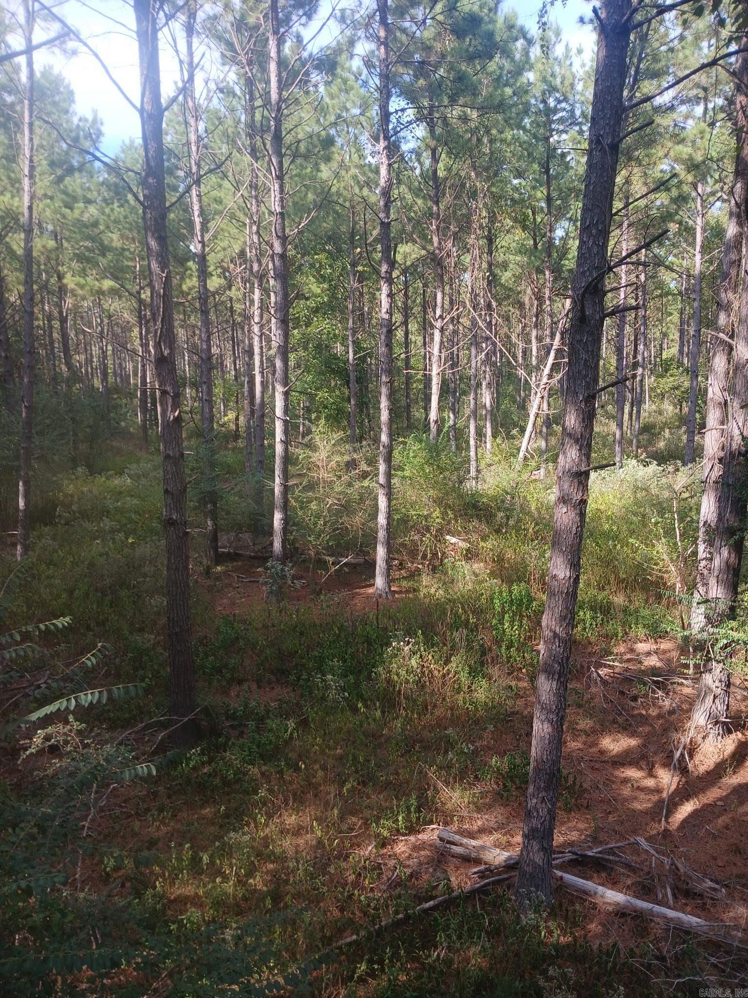 33.00 Acres Hwy 270 Property Photo 20
