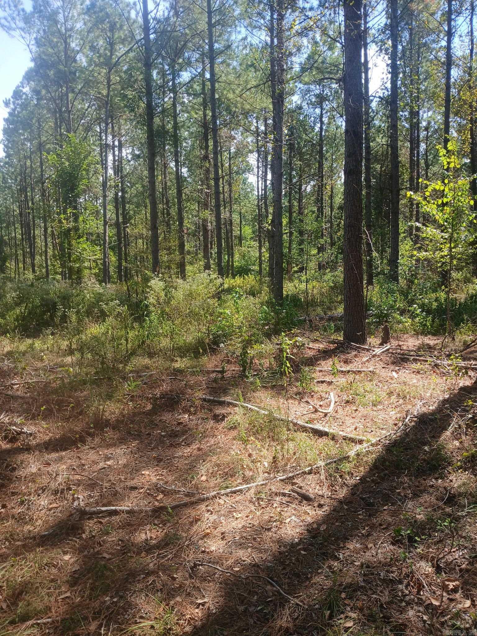 33.00 Acres Hwy 270 Property Photo 24