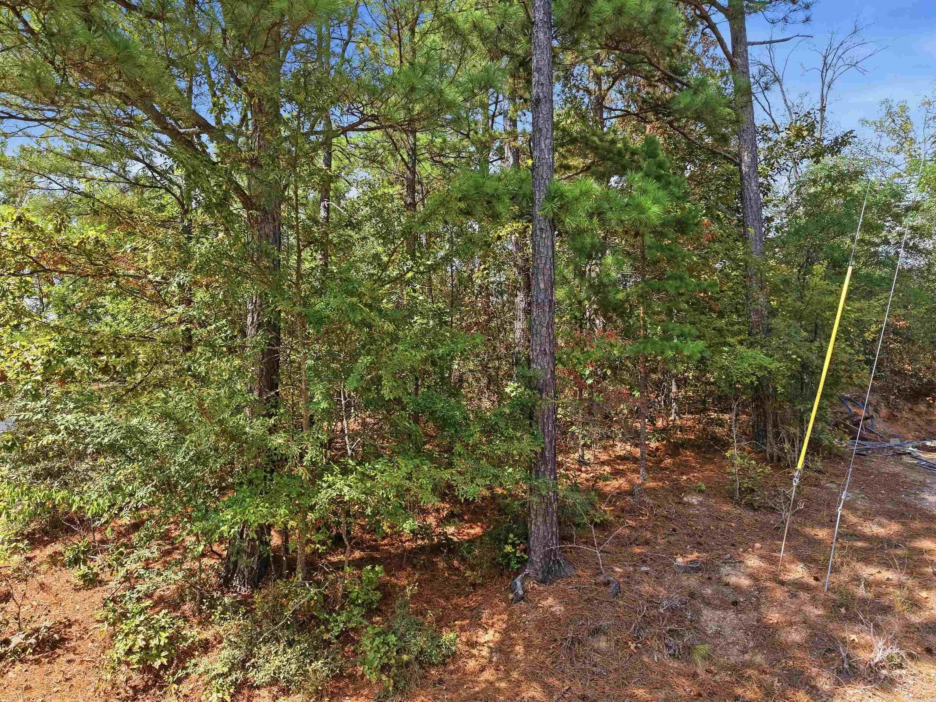Tbd Lot 40 Geronimo Street Property Photo 11
