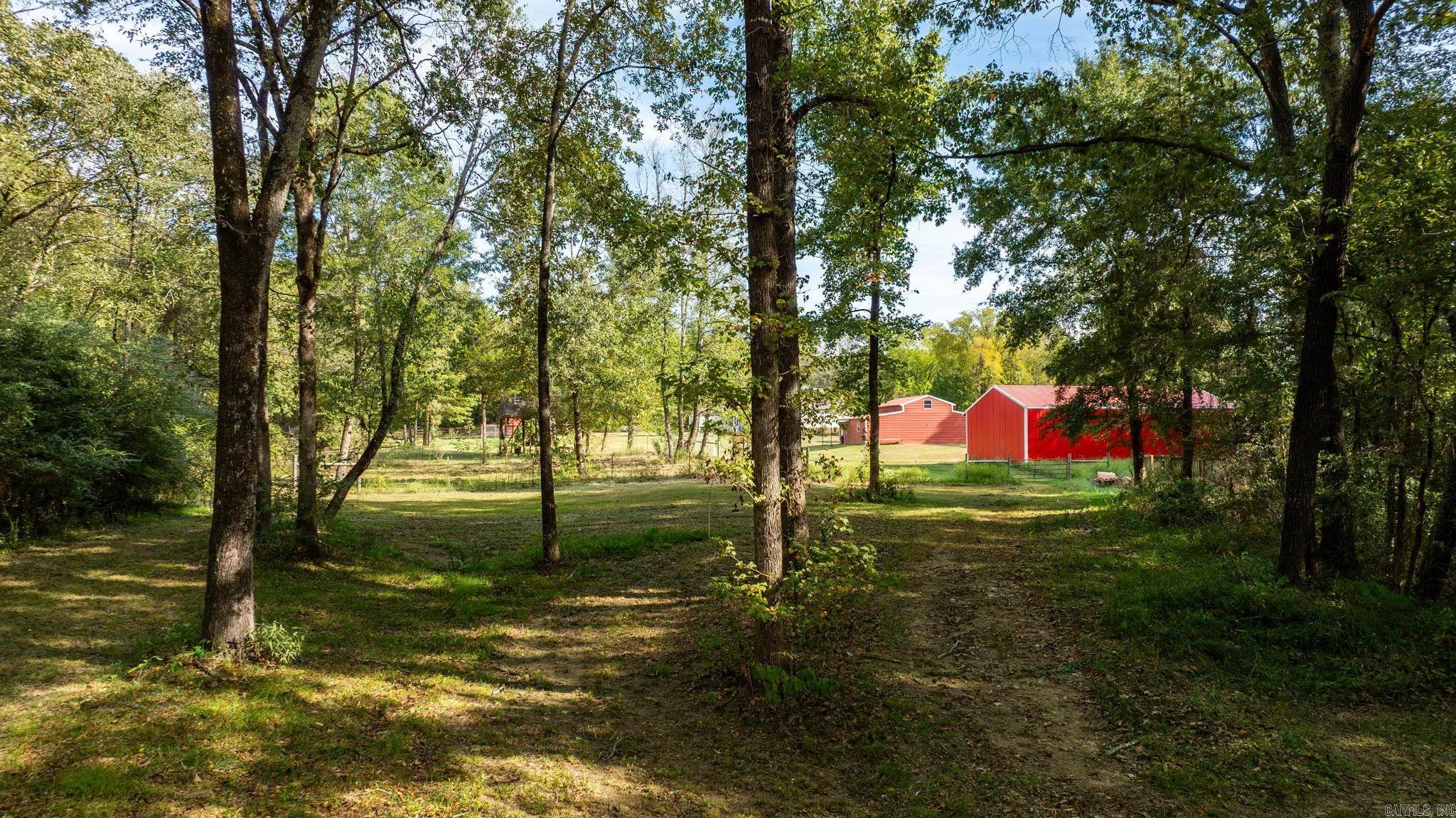 29 Piney Property Photo 48