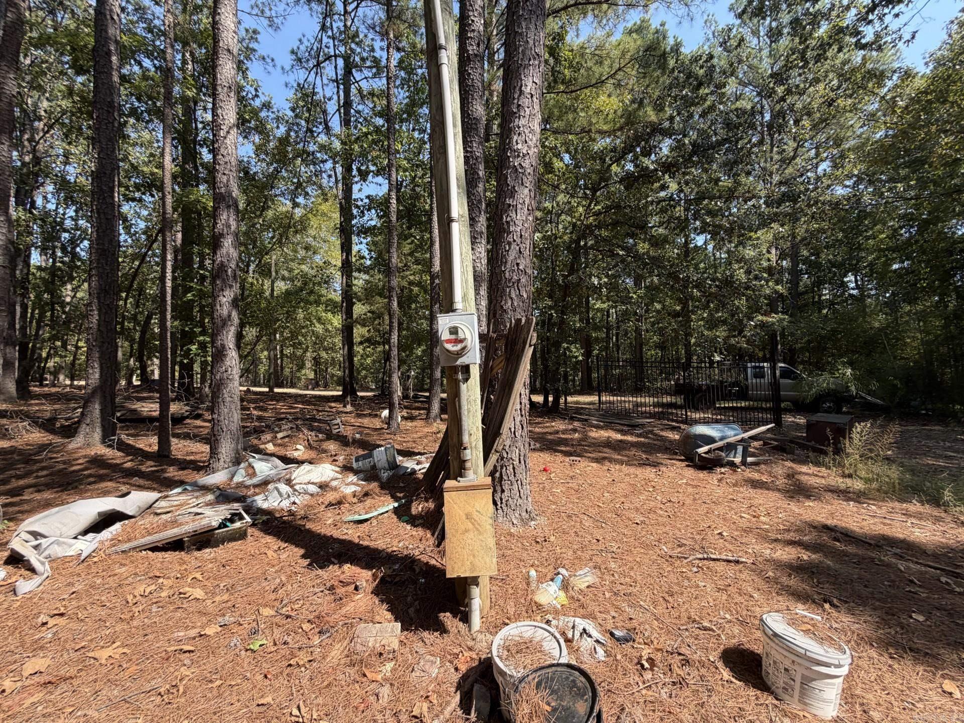 25325 Long Road Property Photo 19