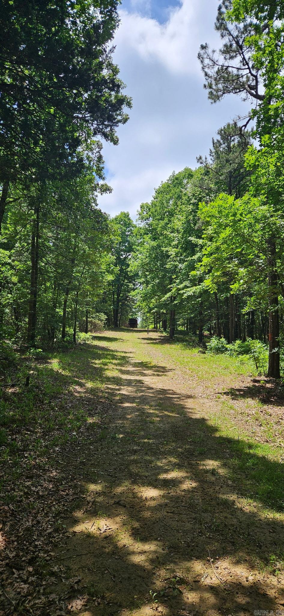40220 Reece Creek Rd Property Photo 12