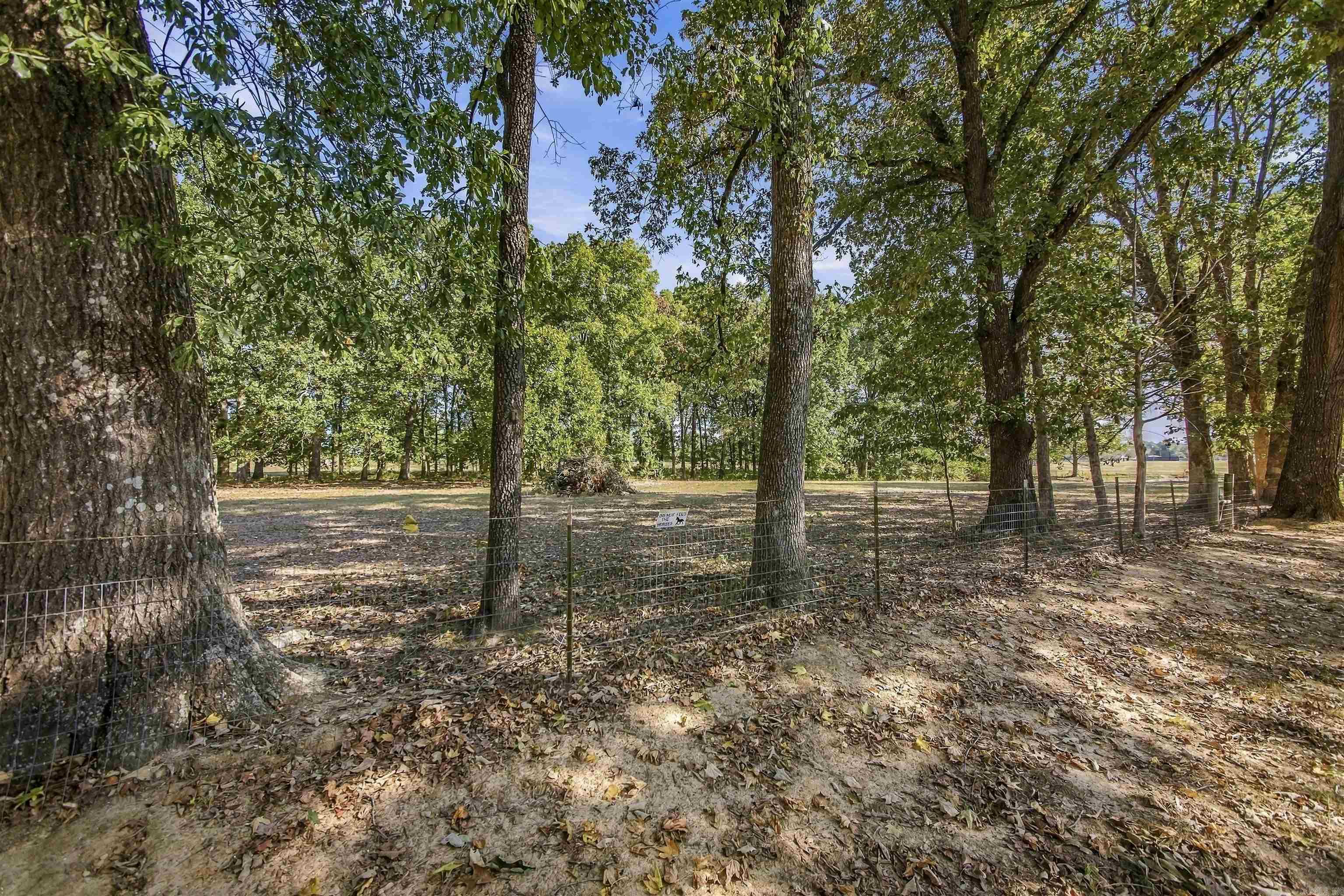 124 Hayden Dr Property Photo 34