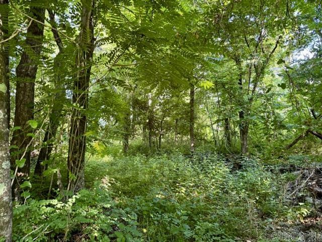 6008 W Highway 90 Property Photo 31