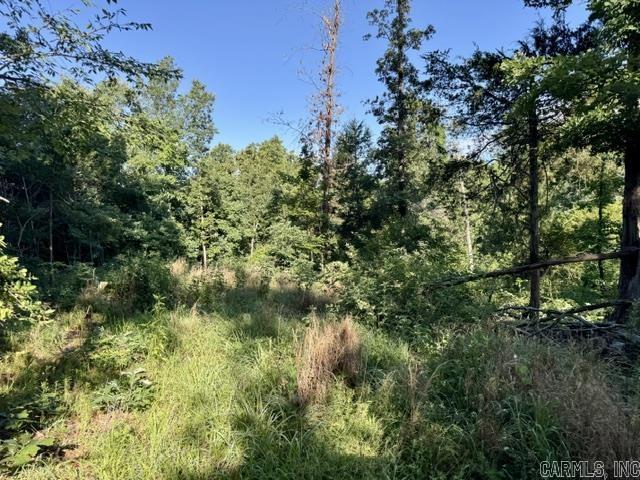 6008 W Highway 90 Property Photo 32