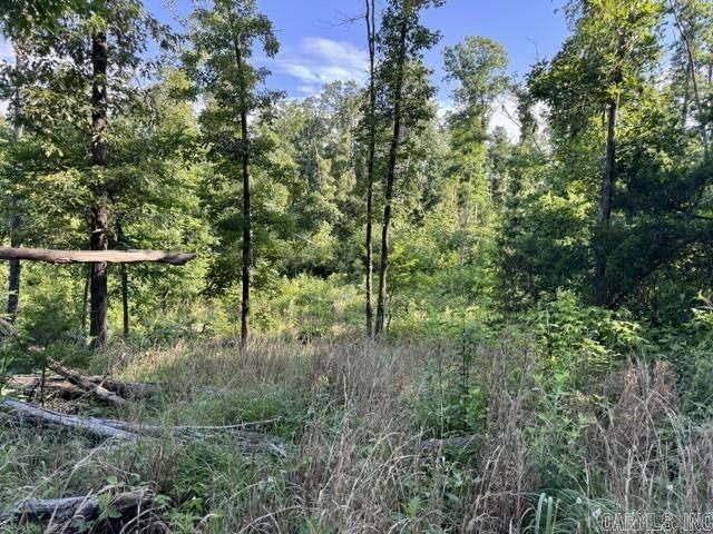 6008 W Highway 90 Property Photo 33