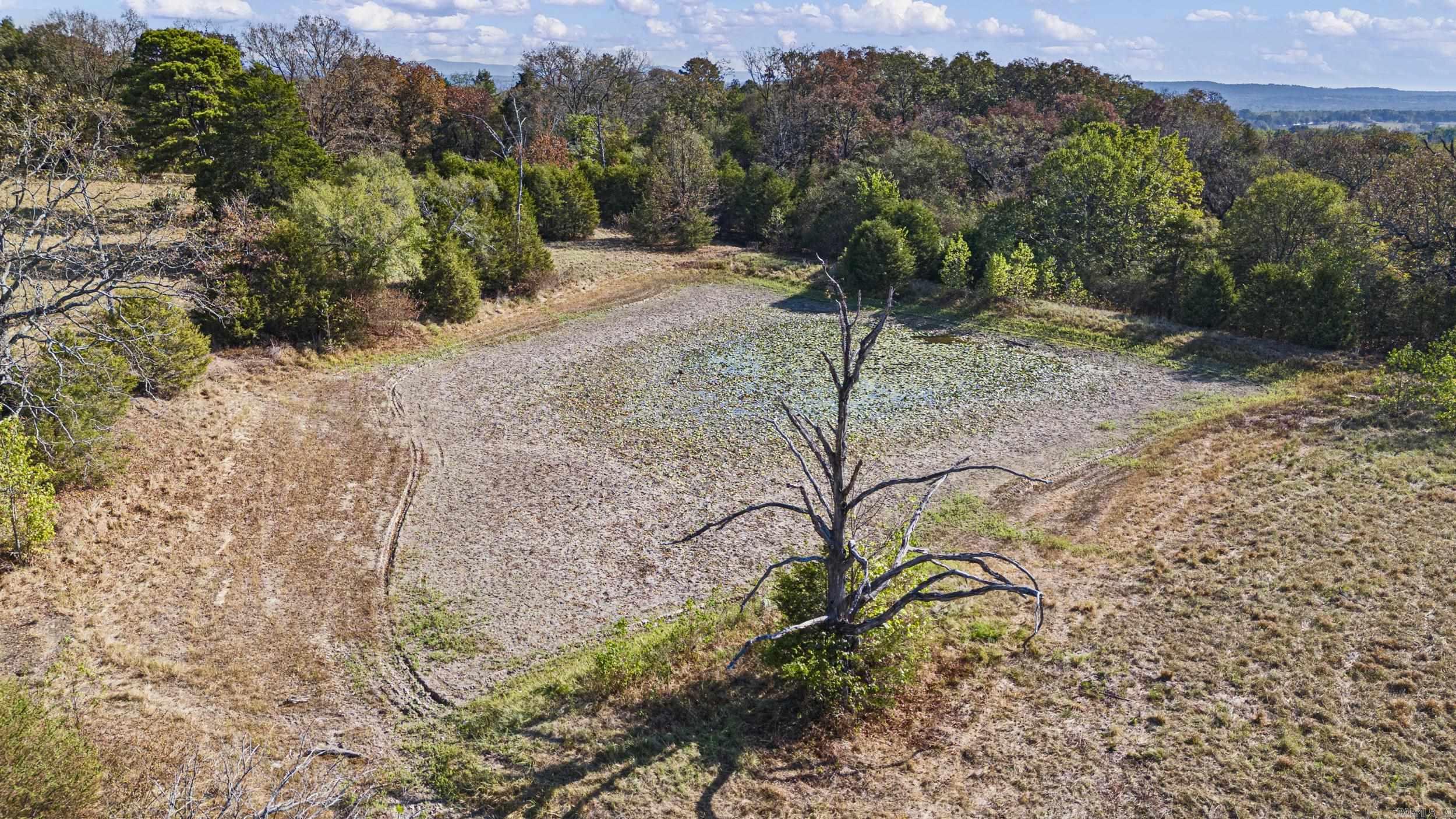 4608 Deer Track Trail Property Photo 5