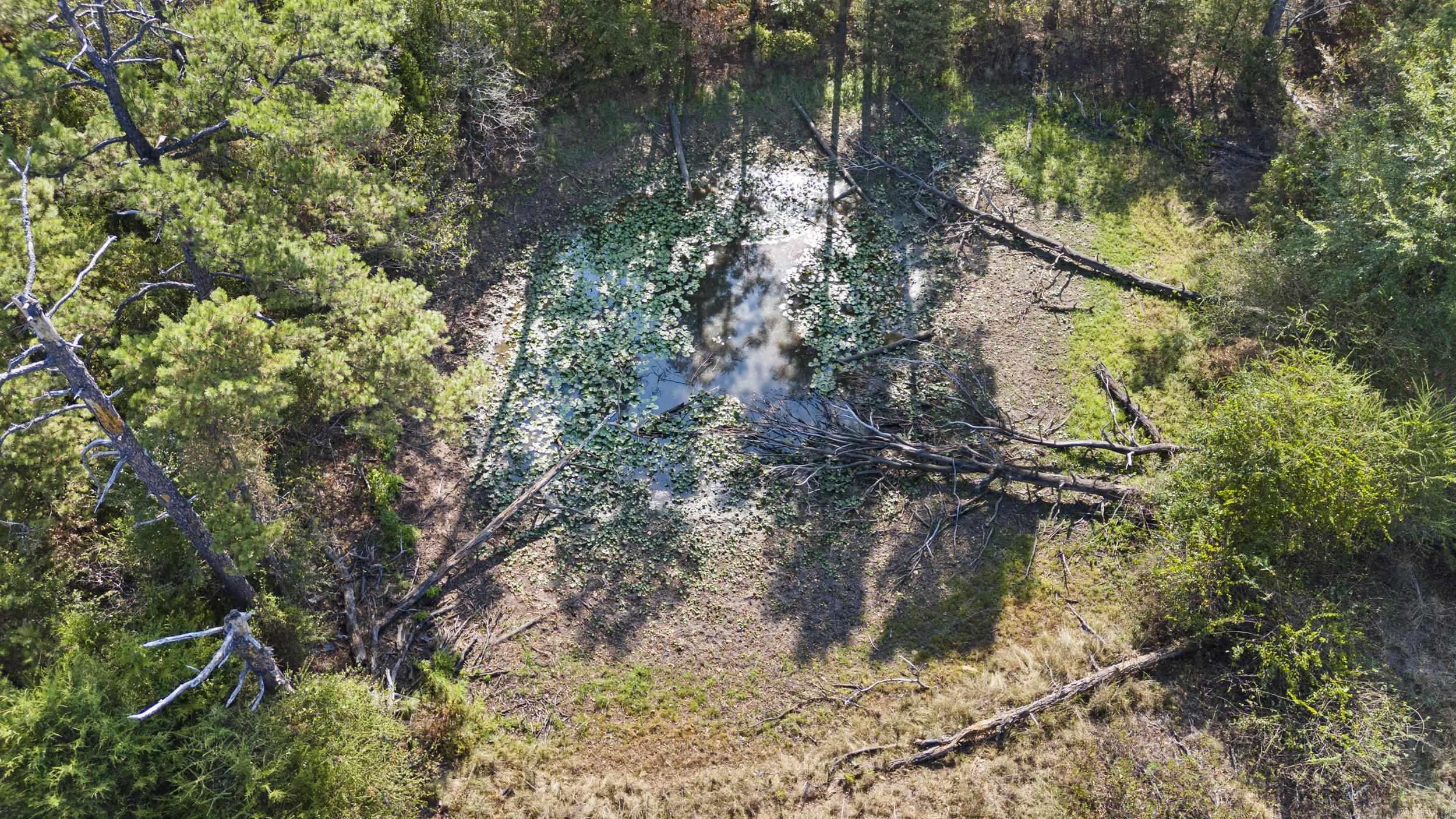 4608 Deer Track Trail Property Photo 7