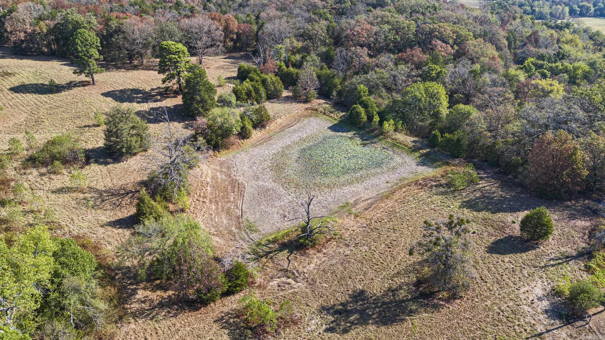 4608 Deer Track Trail Property Photo 11