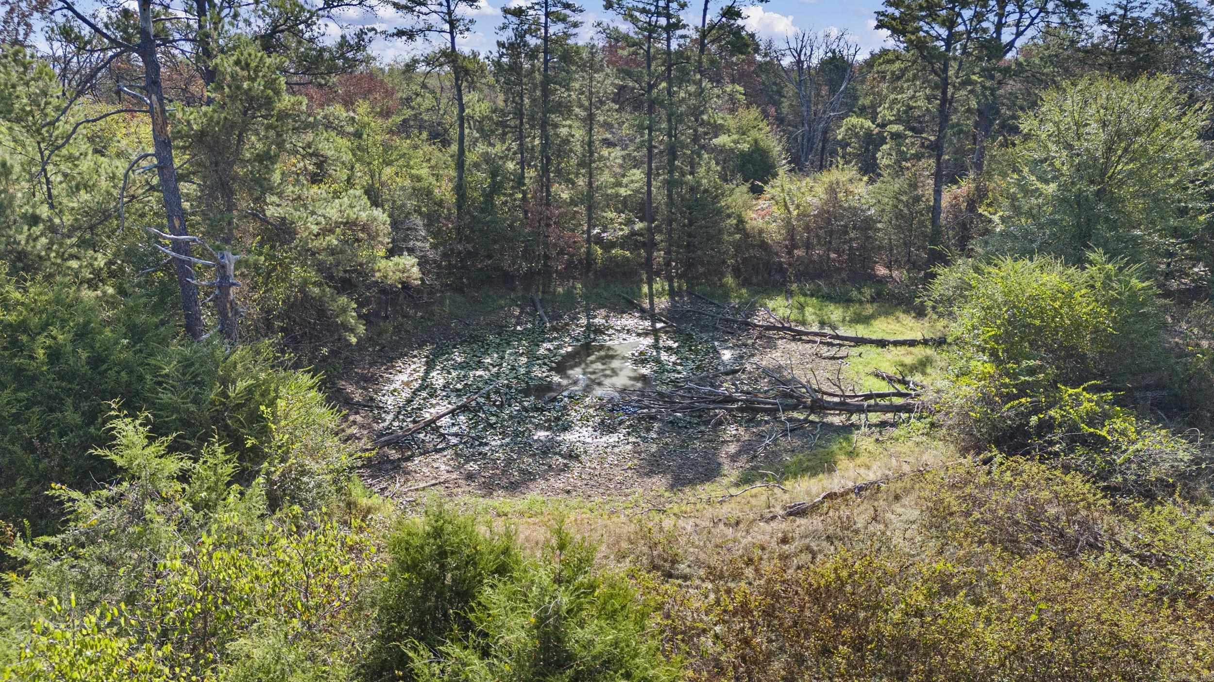 4608 Deer Track Trail Property Photo 15