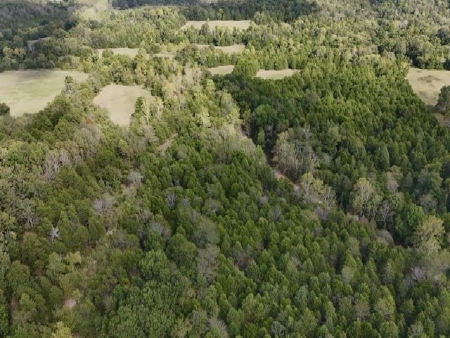 Tbd N Hwy 289 Property Photo 1
