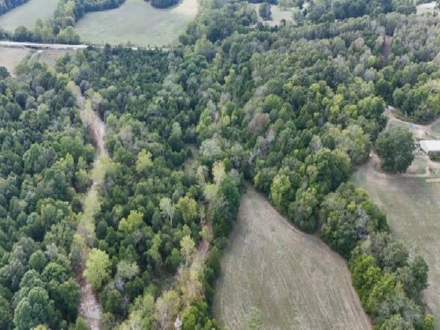Tbd N Hwy 289 Property Photo 3