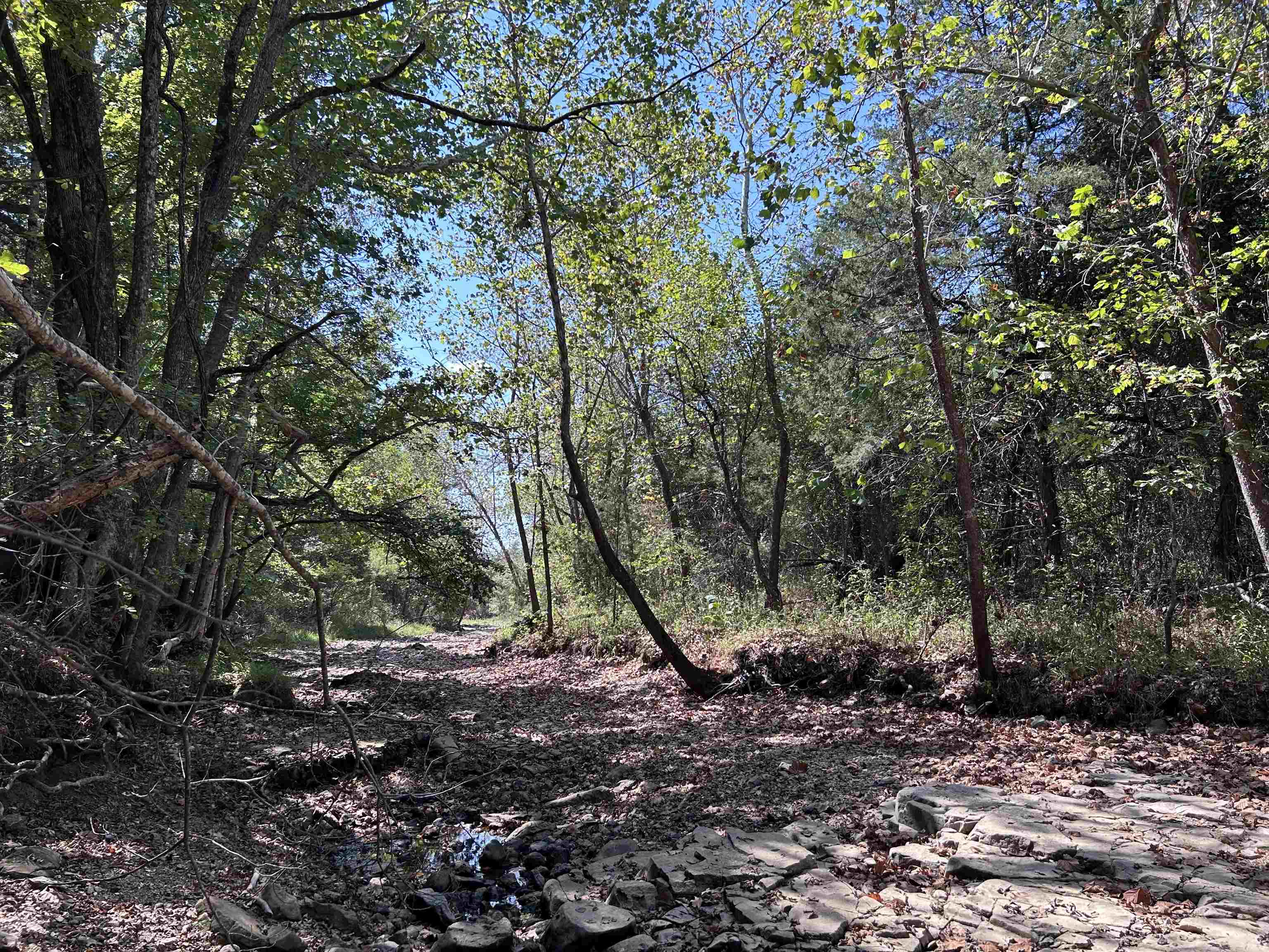 Tbd N Hwy 289 Property Photo 5