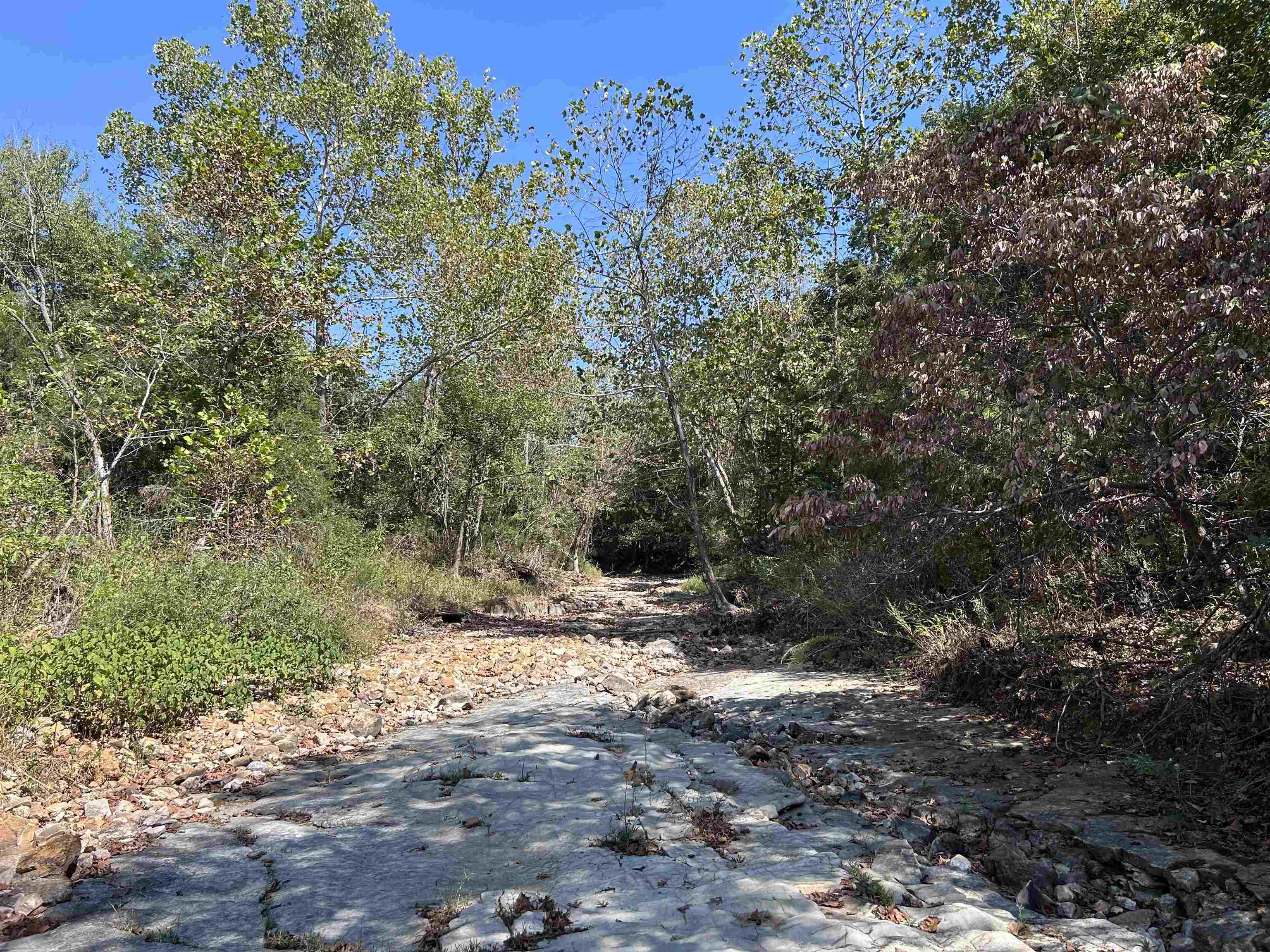 Tbd N Hwy 289 Property Photo 6