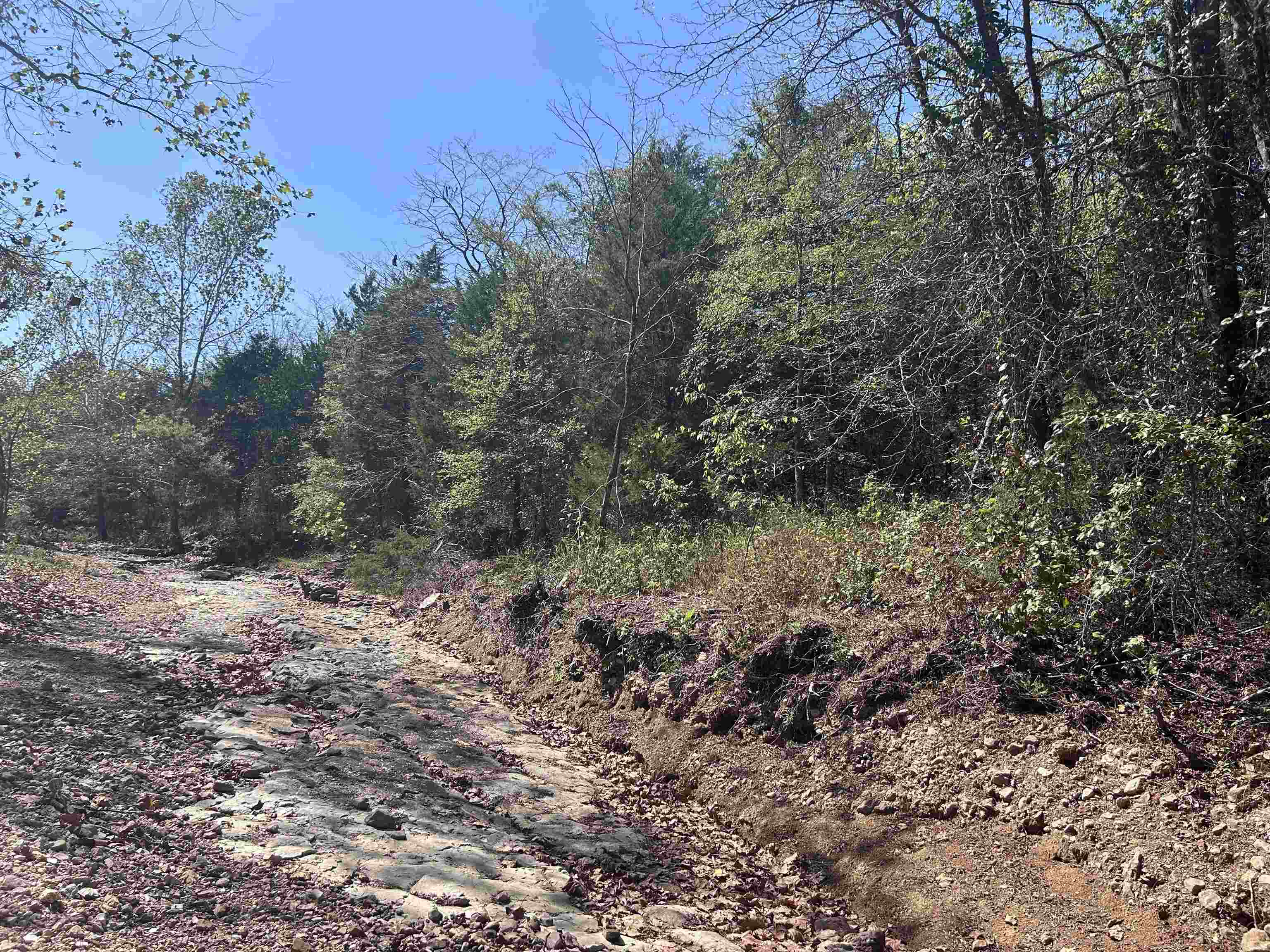 Tbd N Hwy 289 Property Photo 7