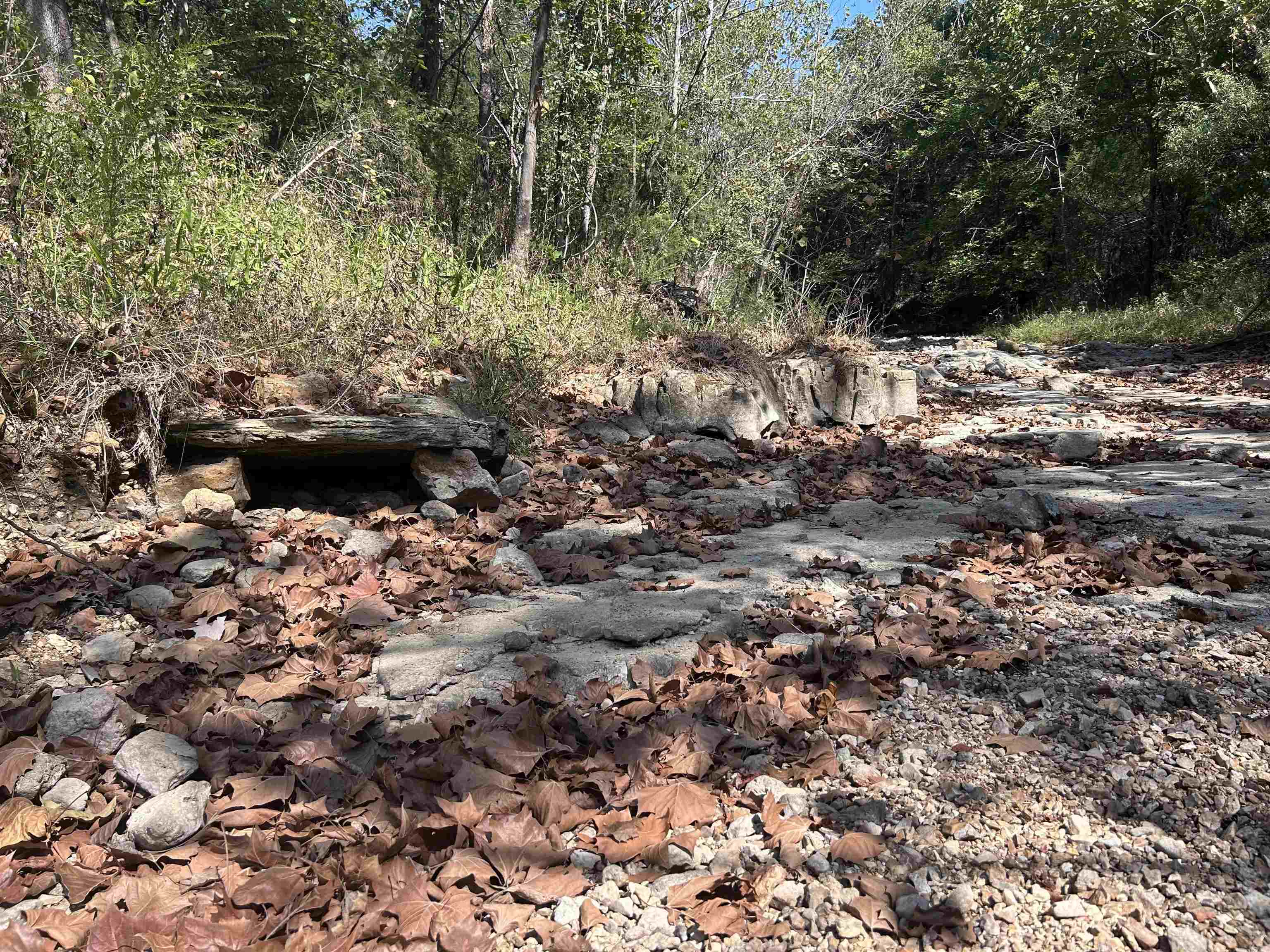 Tbd N Hwy 289 Property Photo 8
