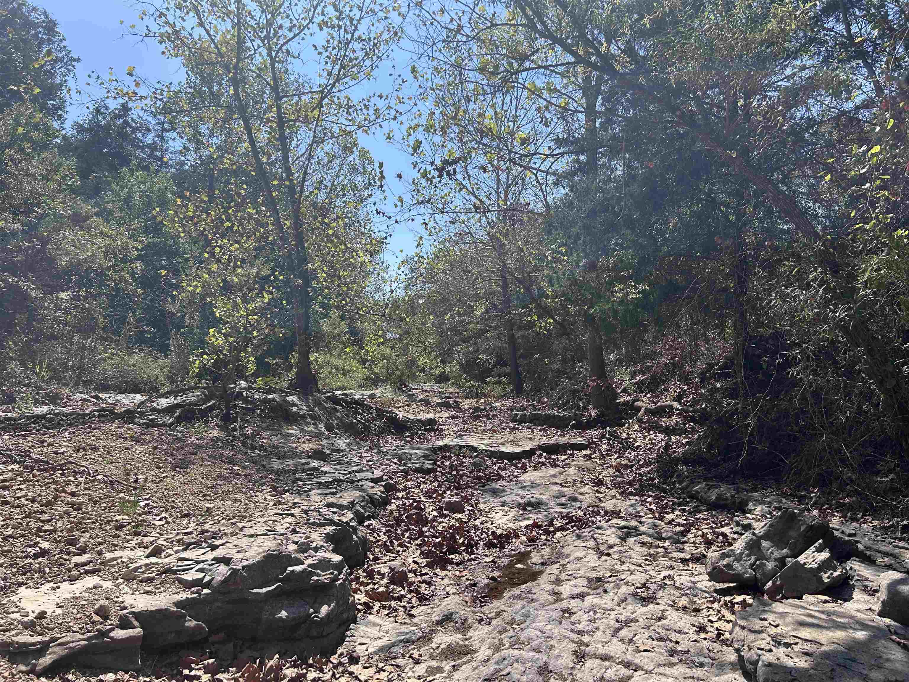 Tbd N Hwy 289 Property Photo 9