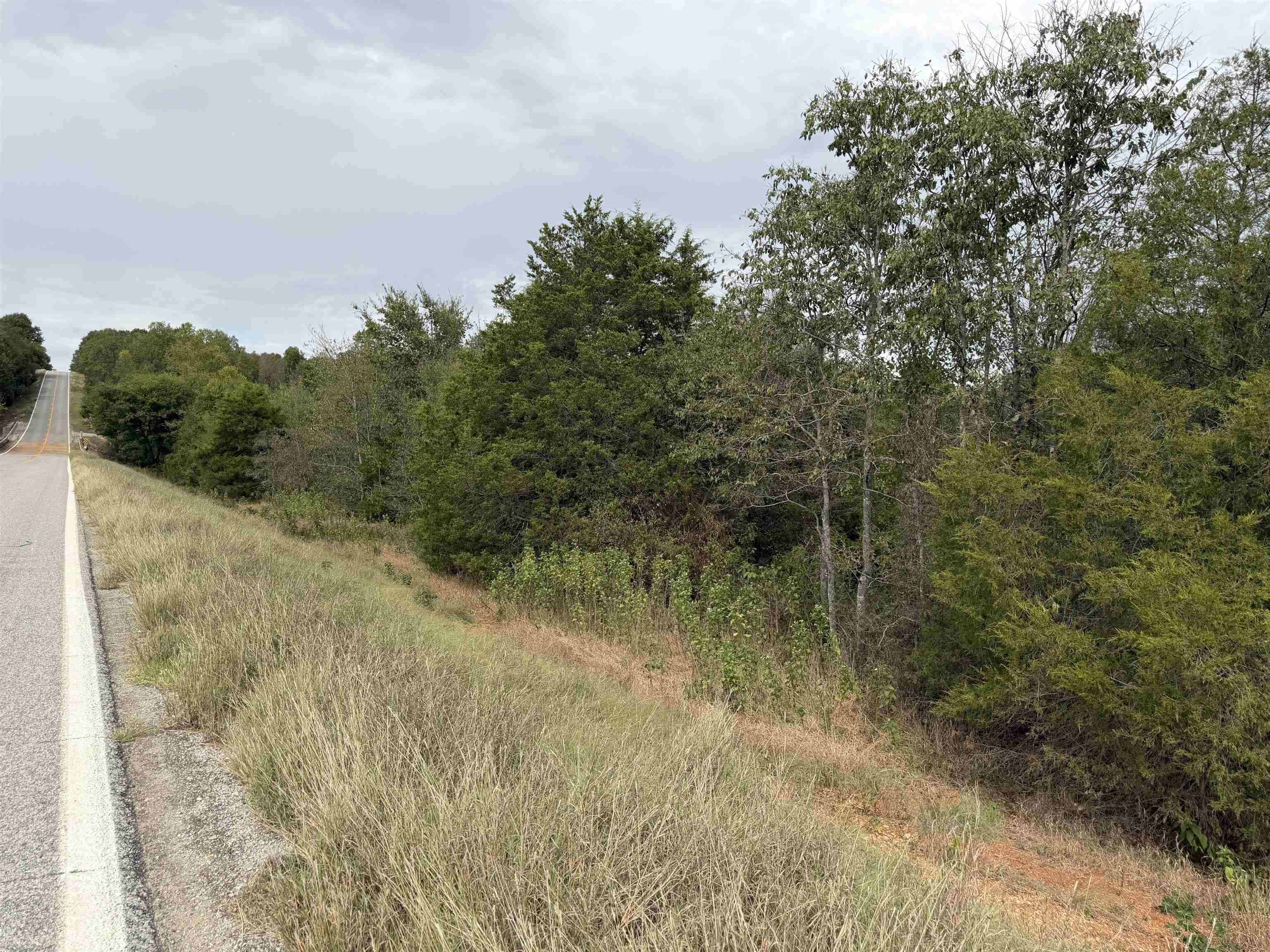 Tbd N Hwy 289 Property Photo 11