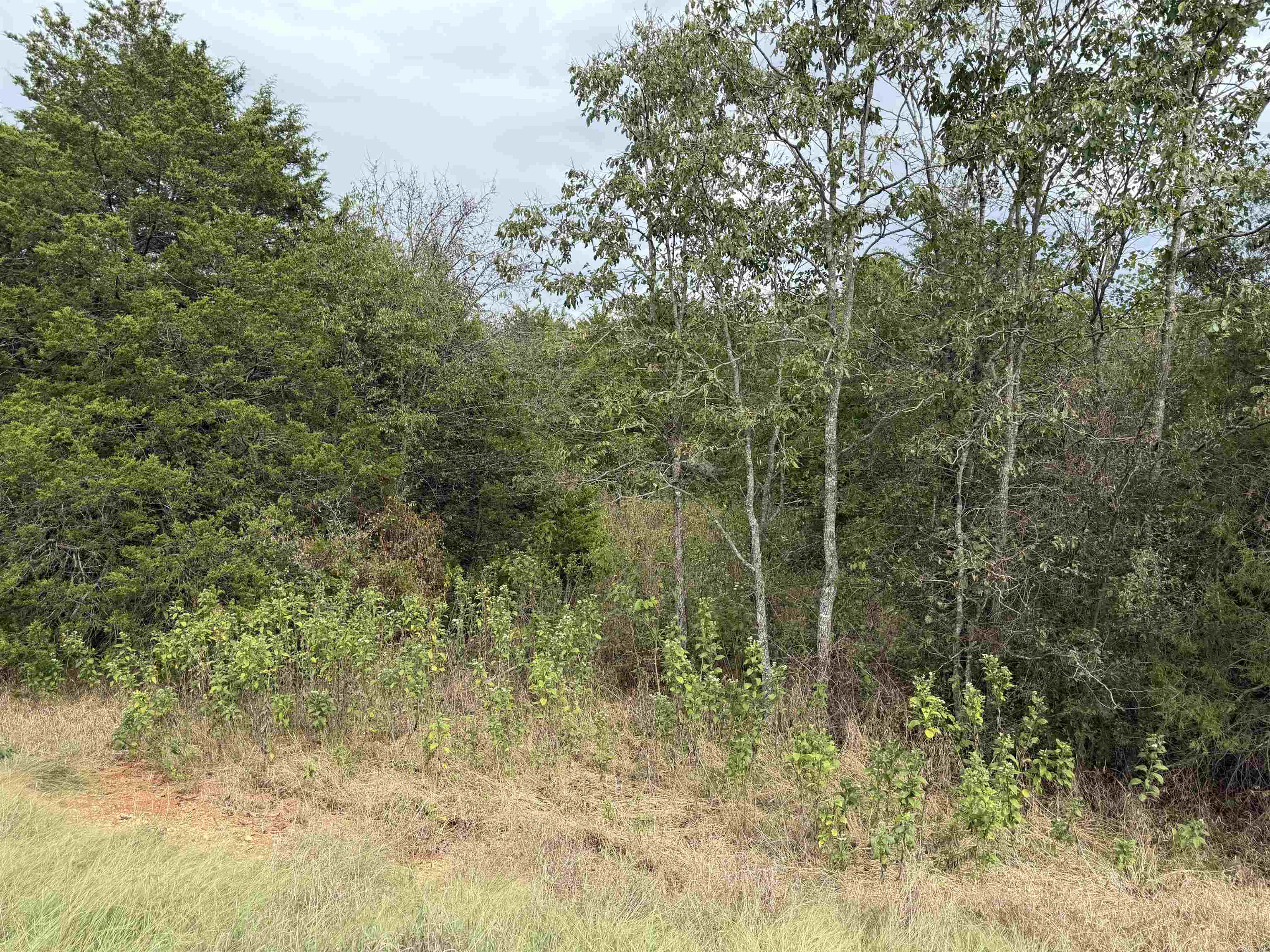 Tbd N Hwy 289 Property Photo 12