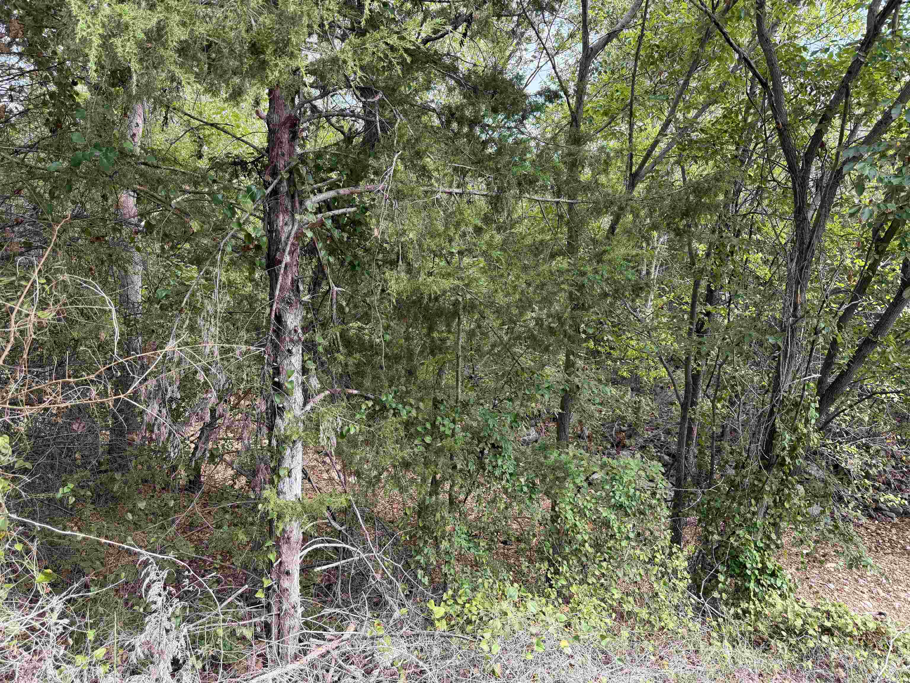 Tbd N Hwy 289 Property Photo 13