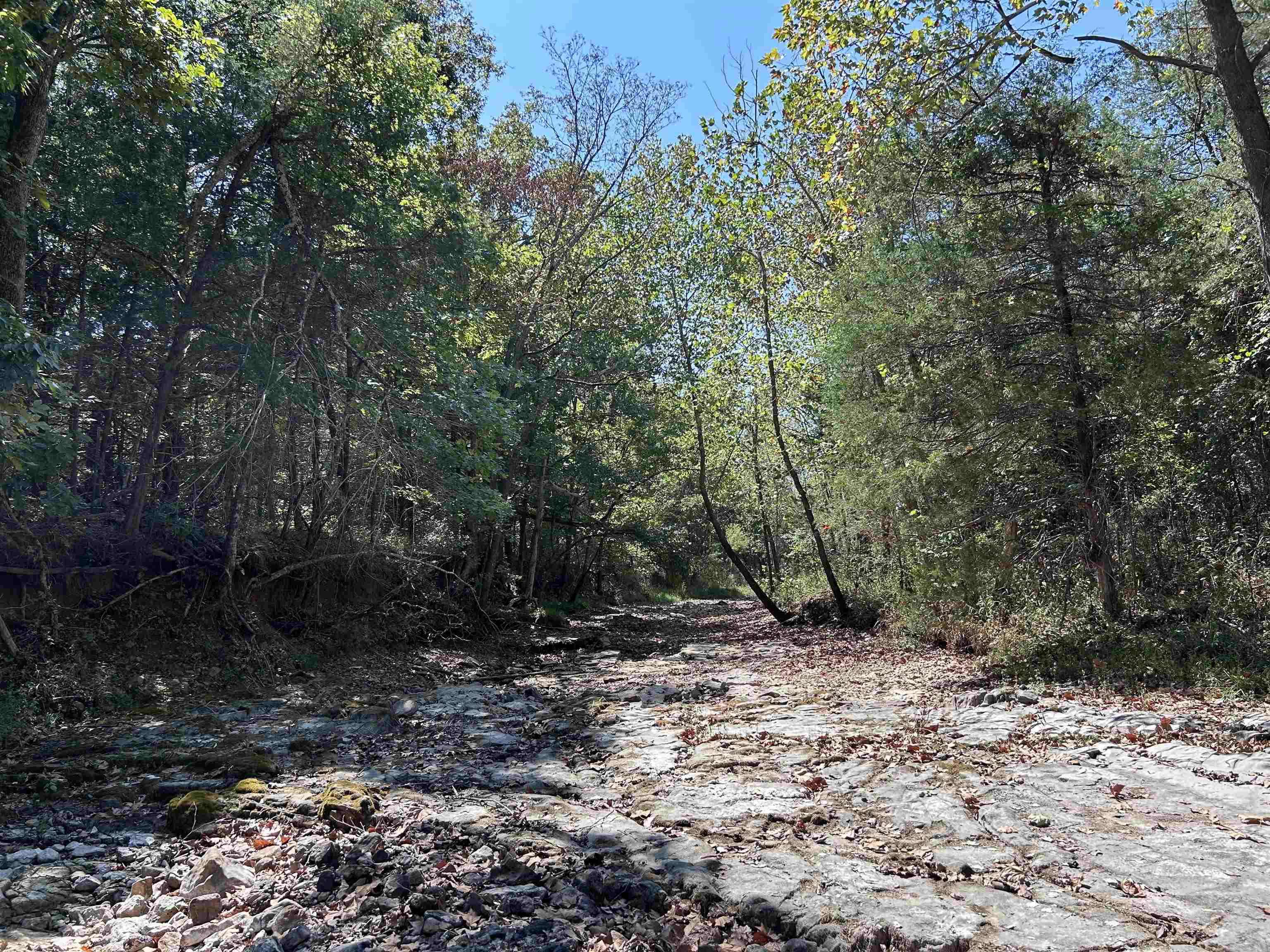Tbd N Hwy 289 Property Photo 14