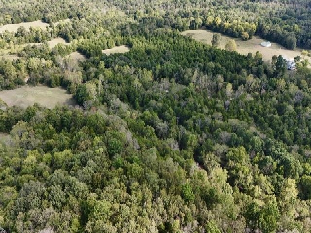 Tbd N Hwy 289 Property Photo 15