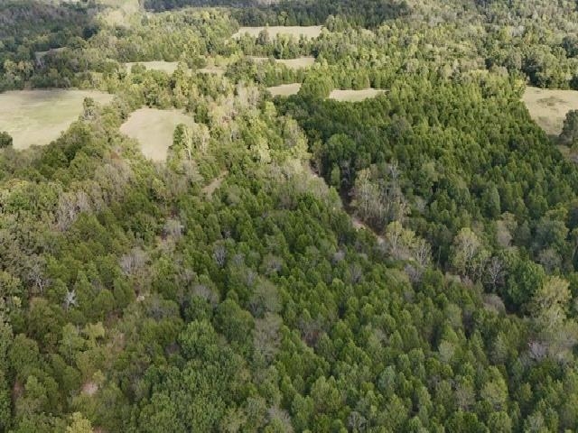 Tbd N Hwy 289 Property Photo 16