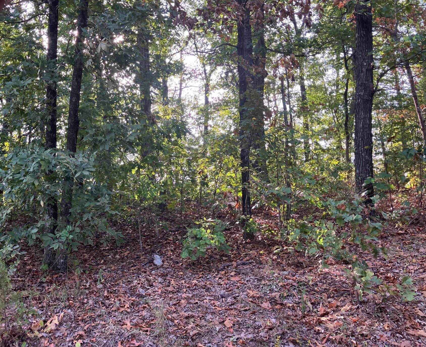 Lots 11-15 Tucker Road