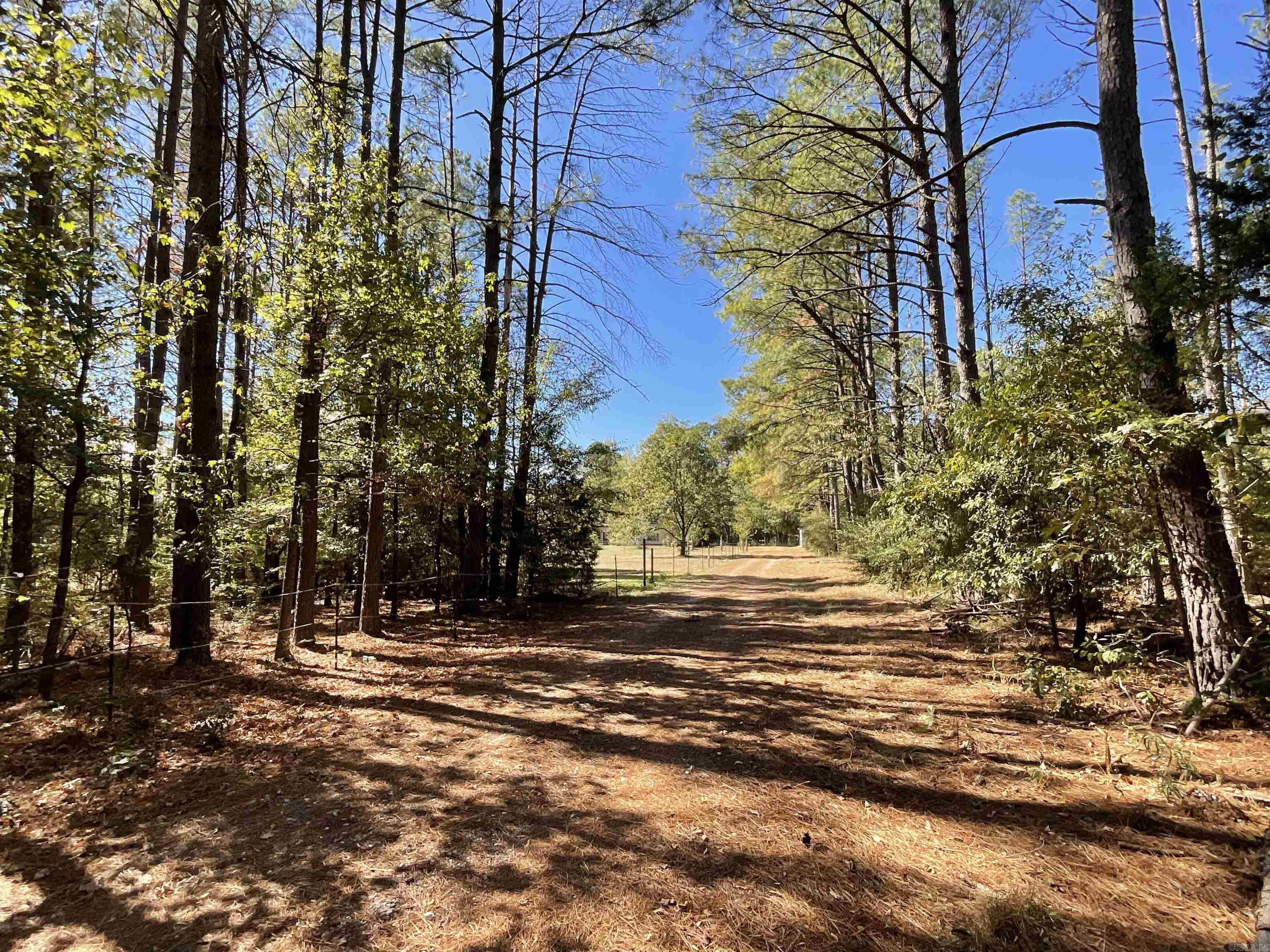 13488 Highway 67 Property Photo 2