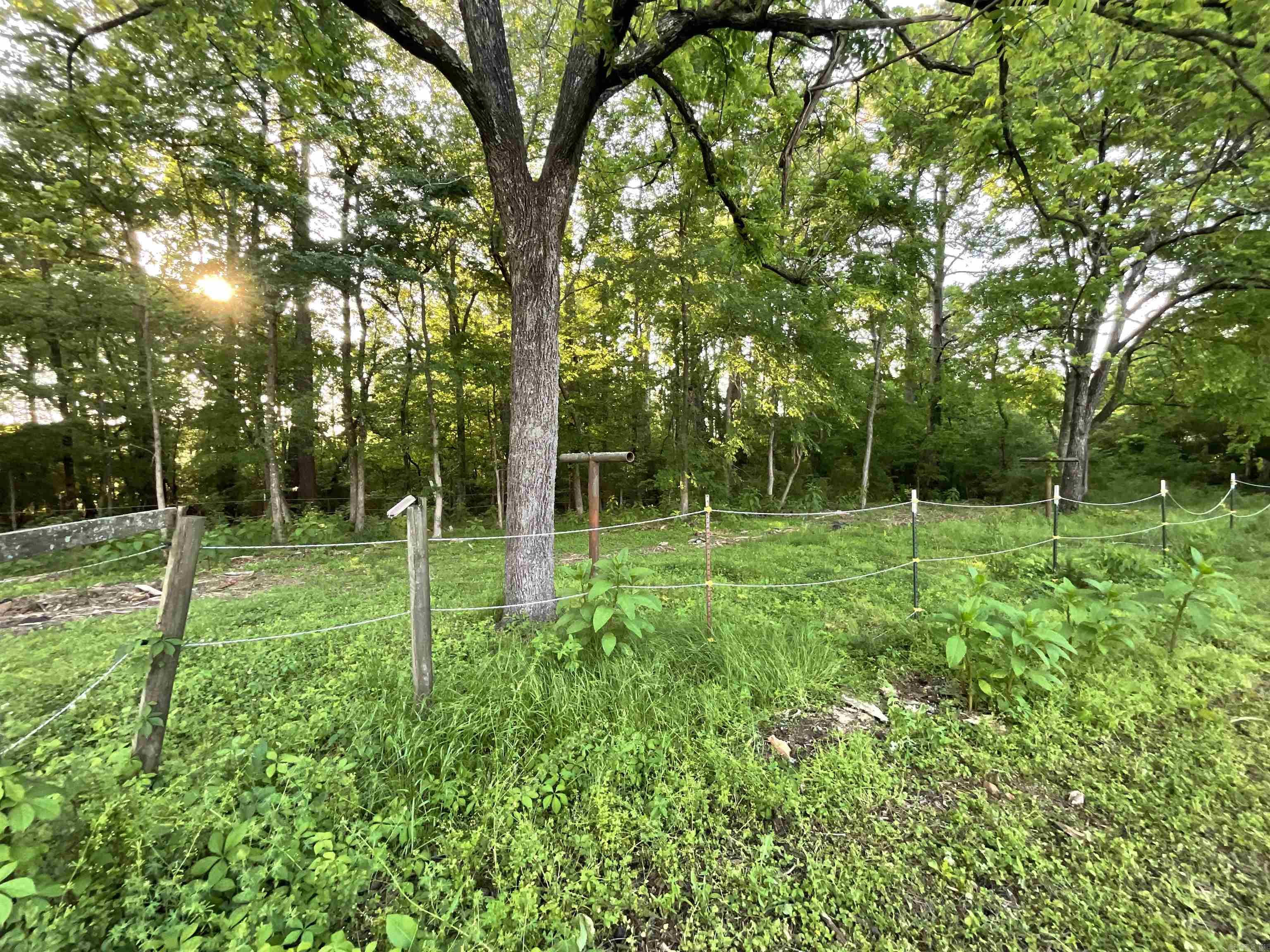 13488 Highway 67 Property Photo 47