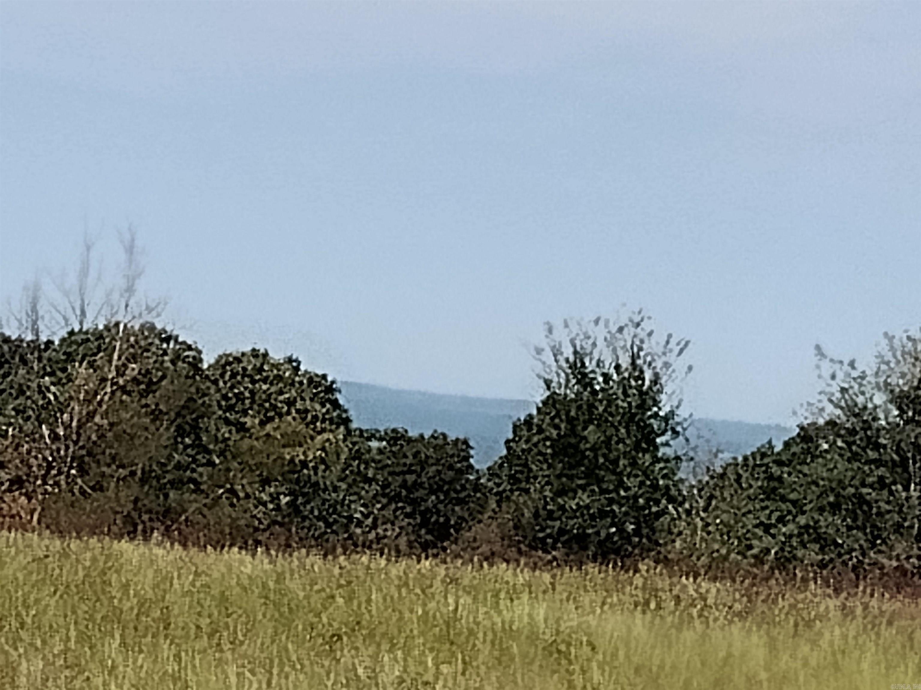 0 Toad Hollow Rd Property Photo 2