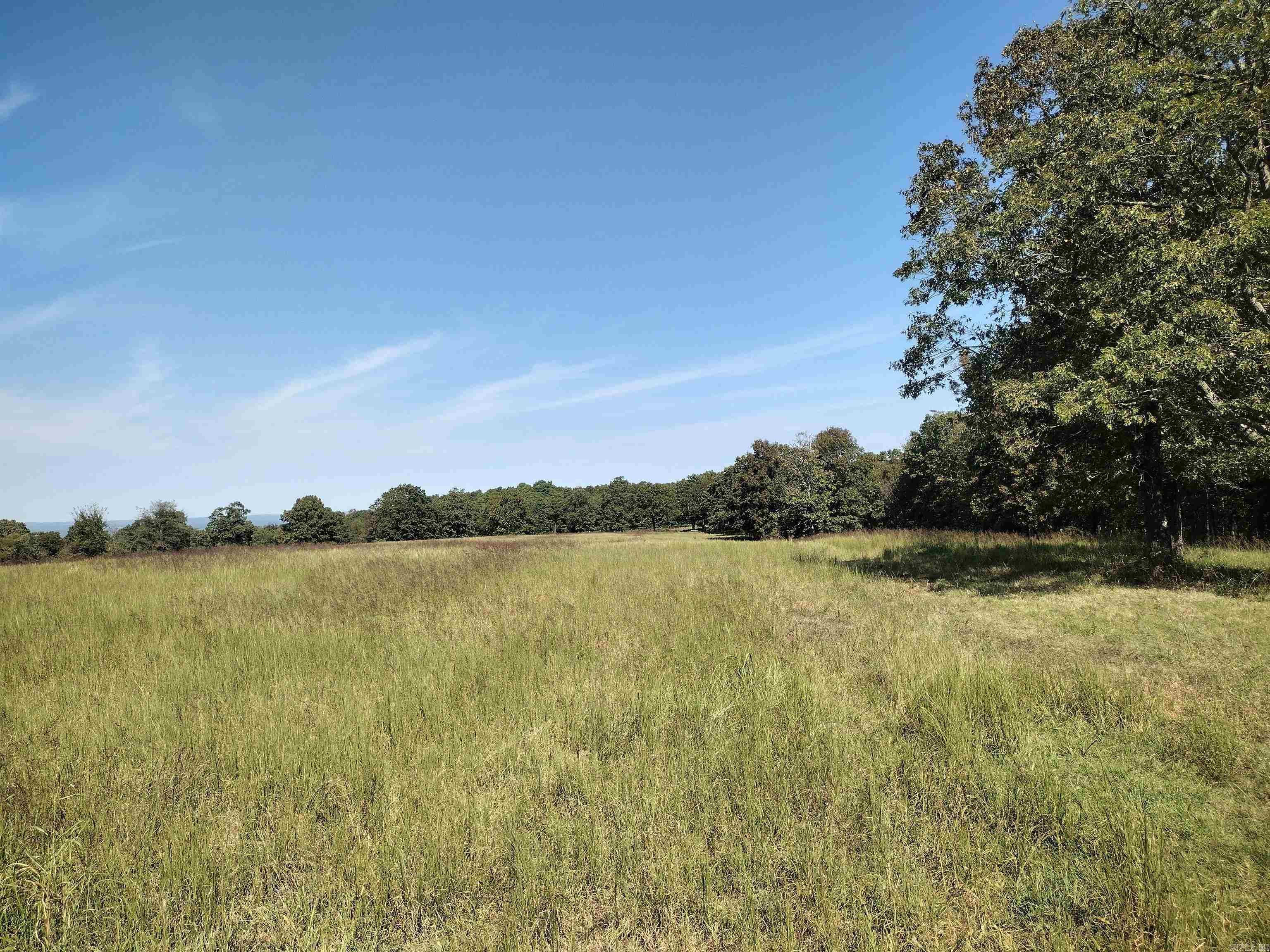 0 Toad Hollow Rd Property Photo 4