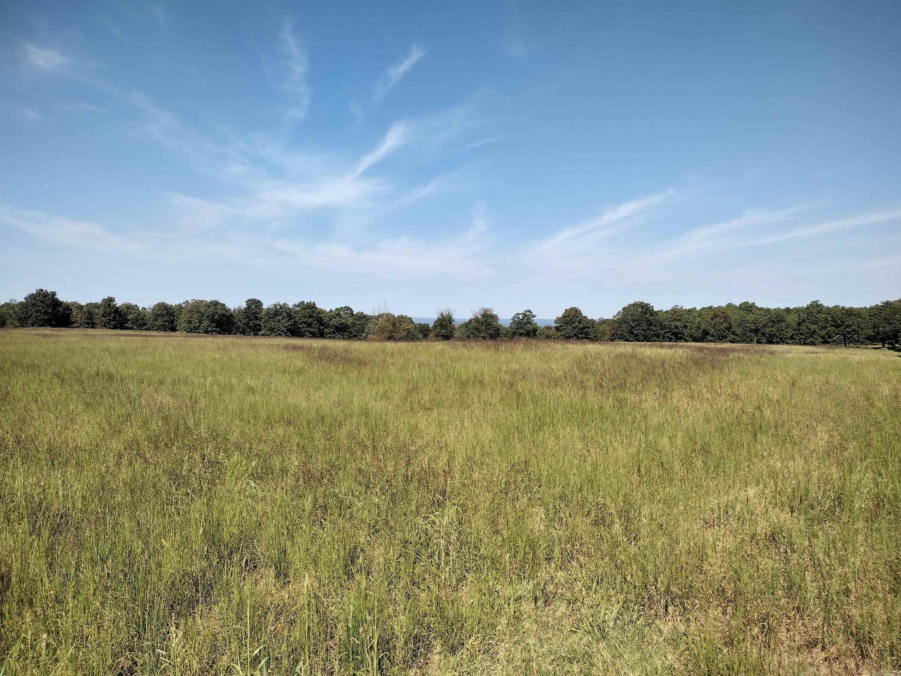 0 Toad Hollow Rd Property Photo 5