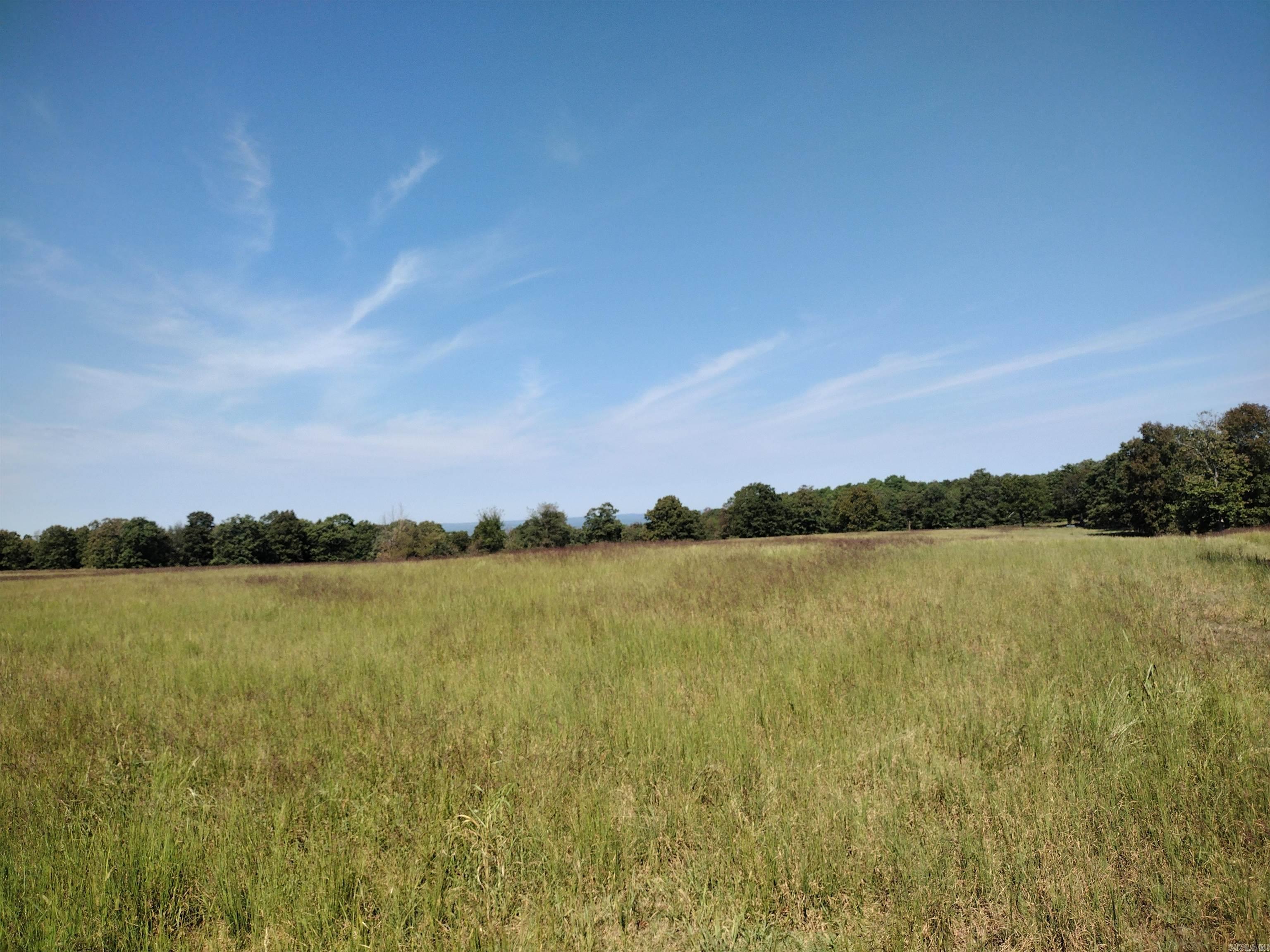 0 Toad Hollow Rd Property Photo 6