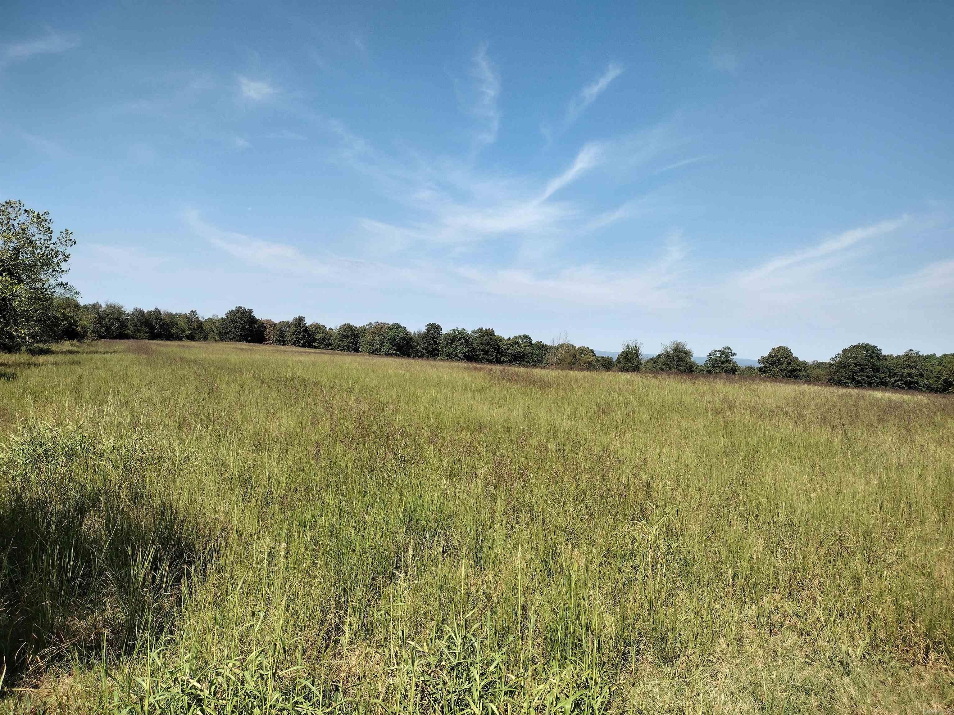 0 Toad Hollow Rd Property Photo 7