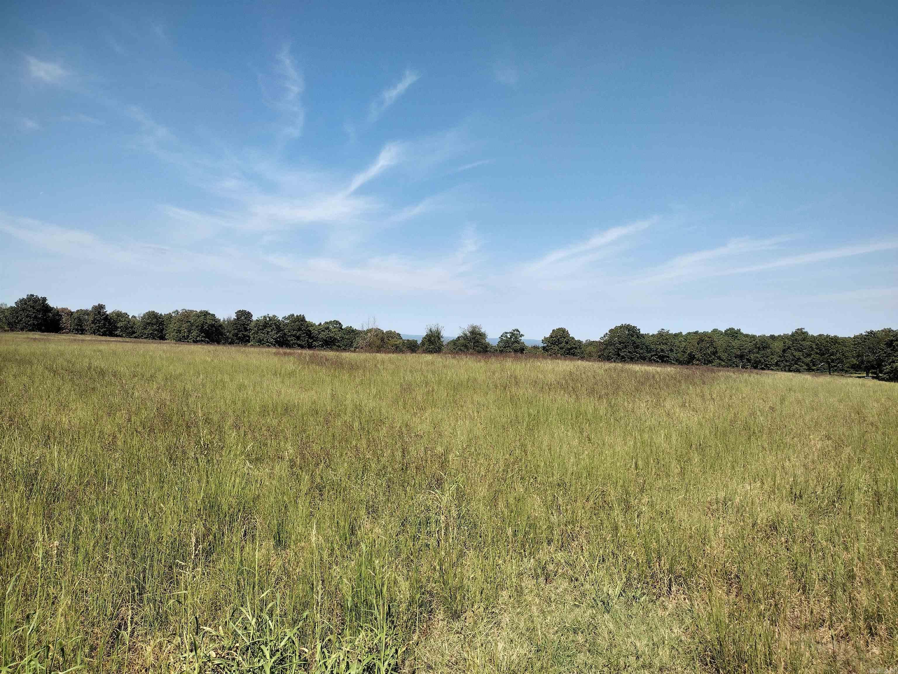 0 Toad Hollow Rd Property Photo 8