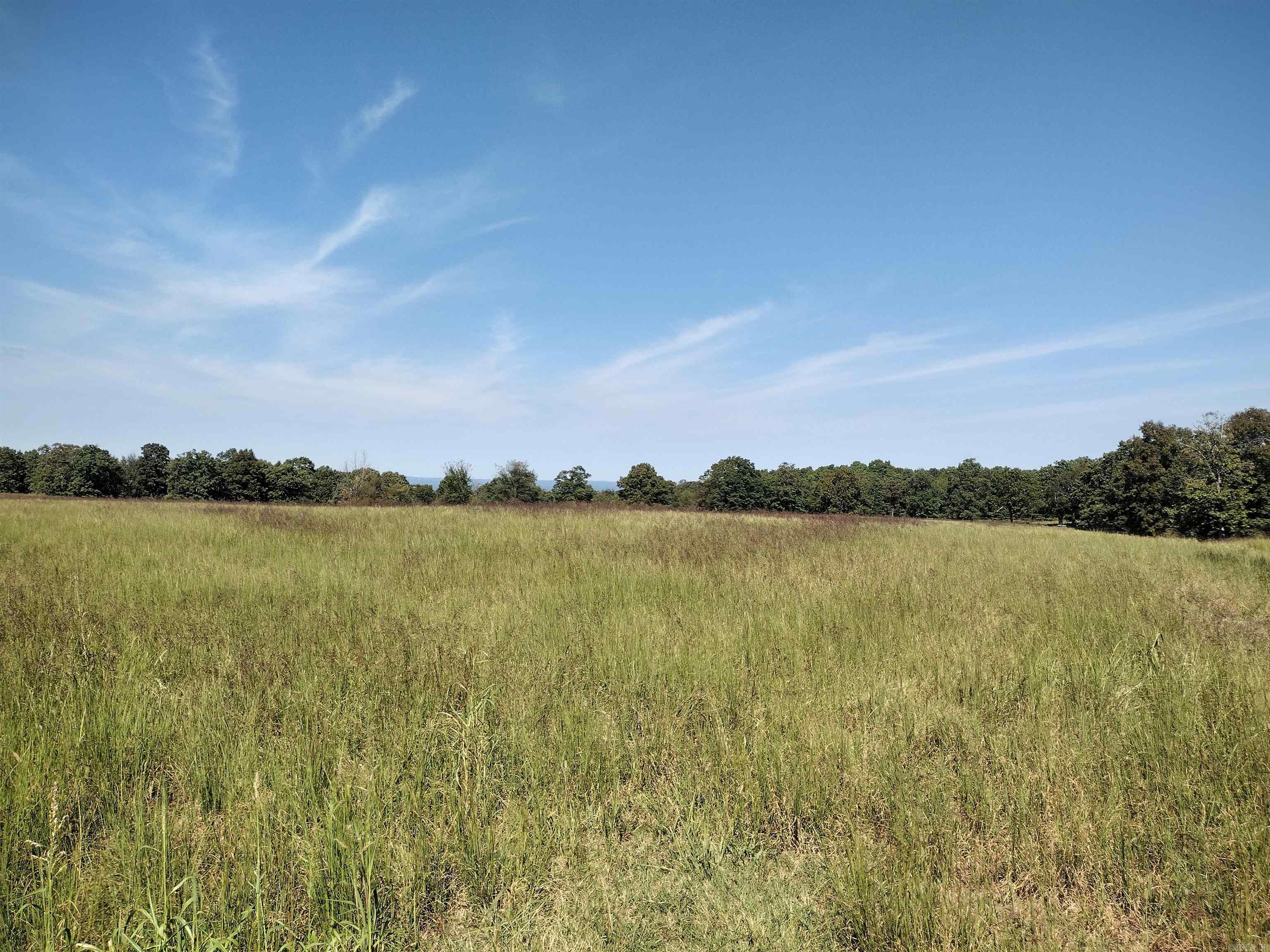 0 Toad Hollow Rd Property Photo 9