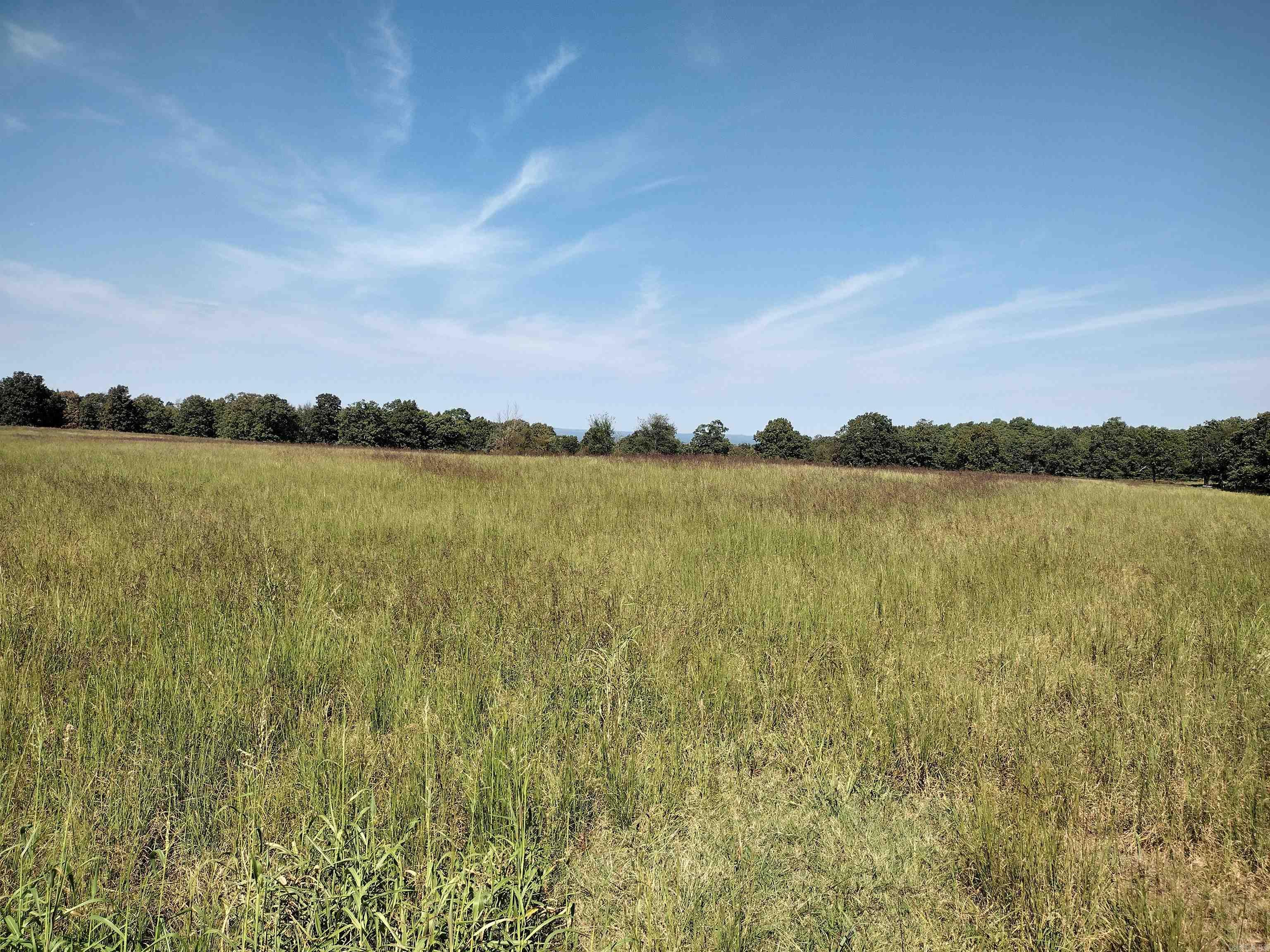0 Toad Hollow Rd Property Photo 10