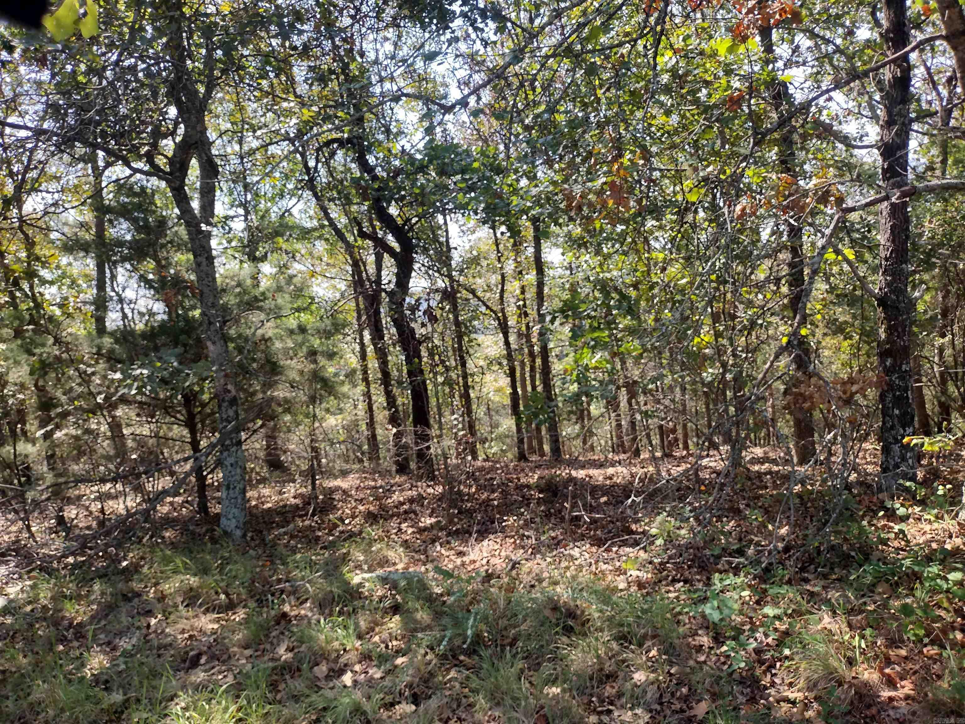 0 Toad Hollow Rd Property Photo 11