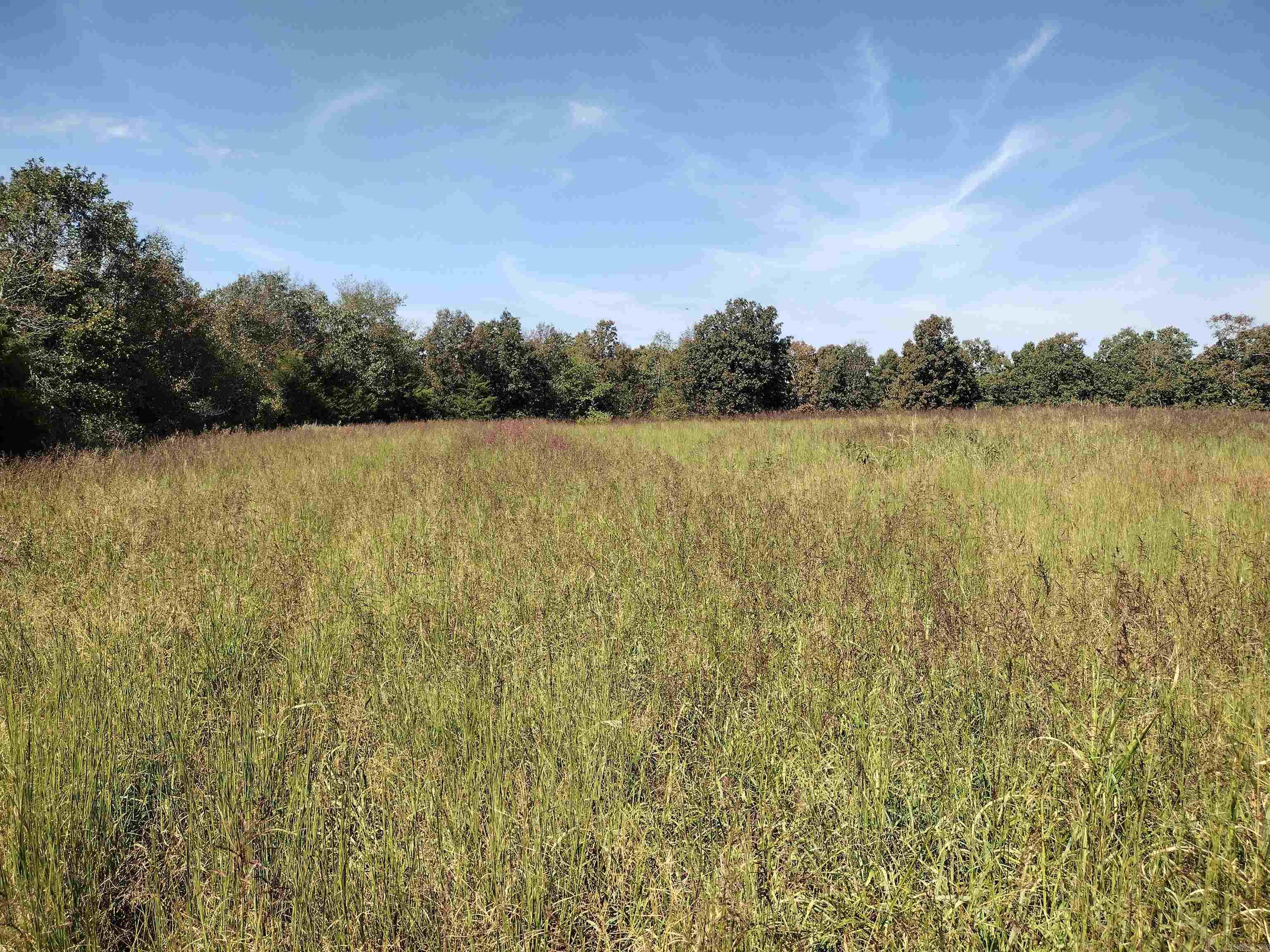 0 Toad Hollow Rd Property Photo 12