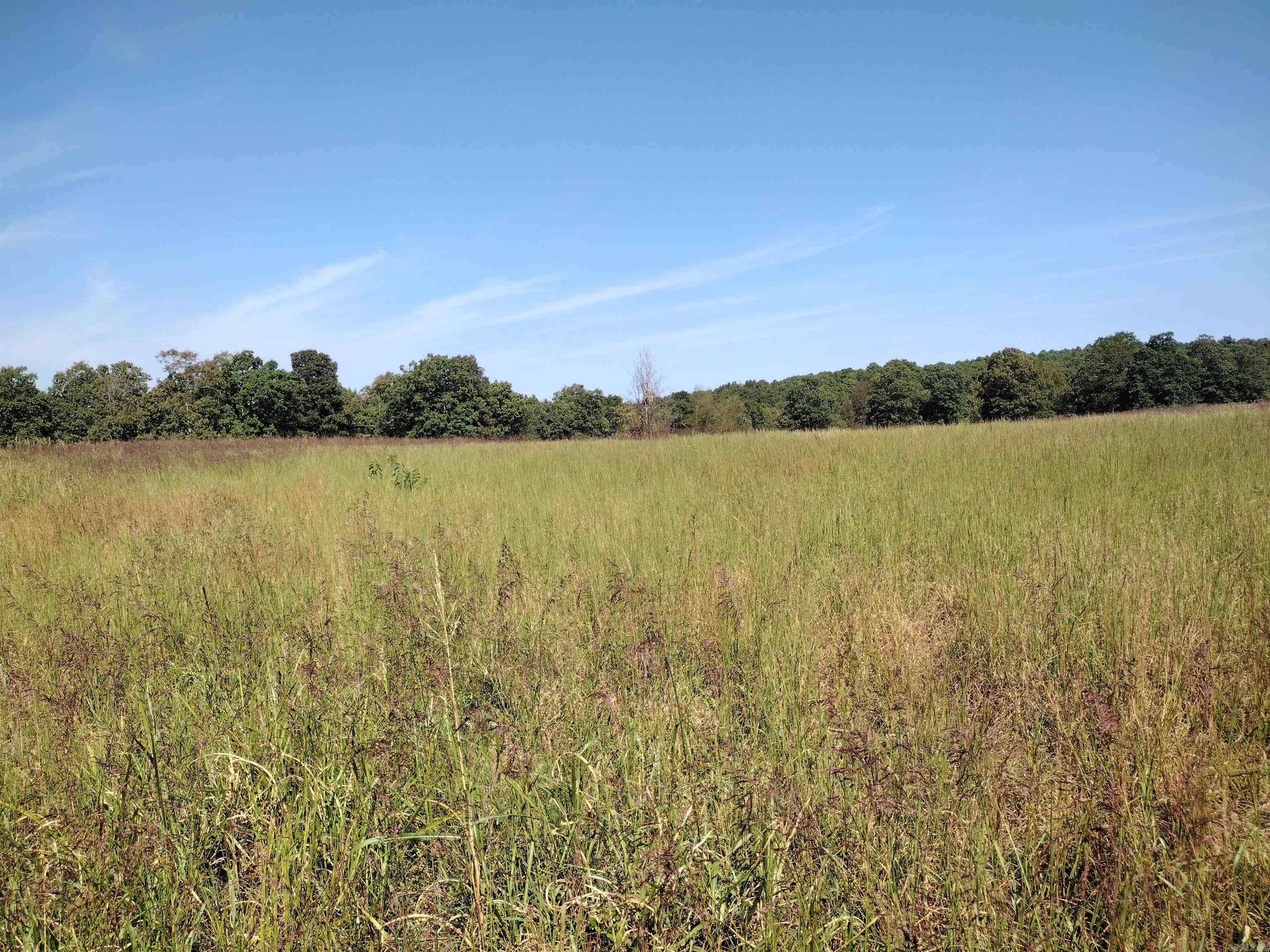 0 Toad Hollow Rd Property Photo 13