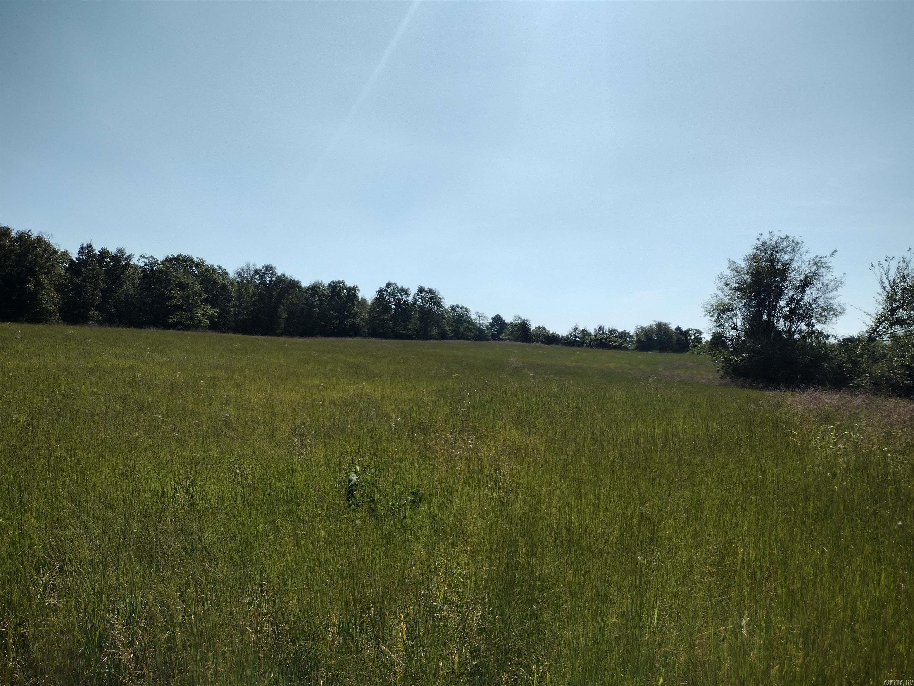 0 Toad Hollow Rd Property Photo 14