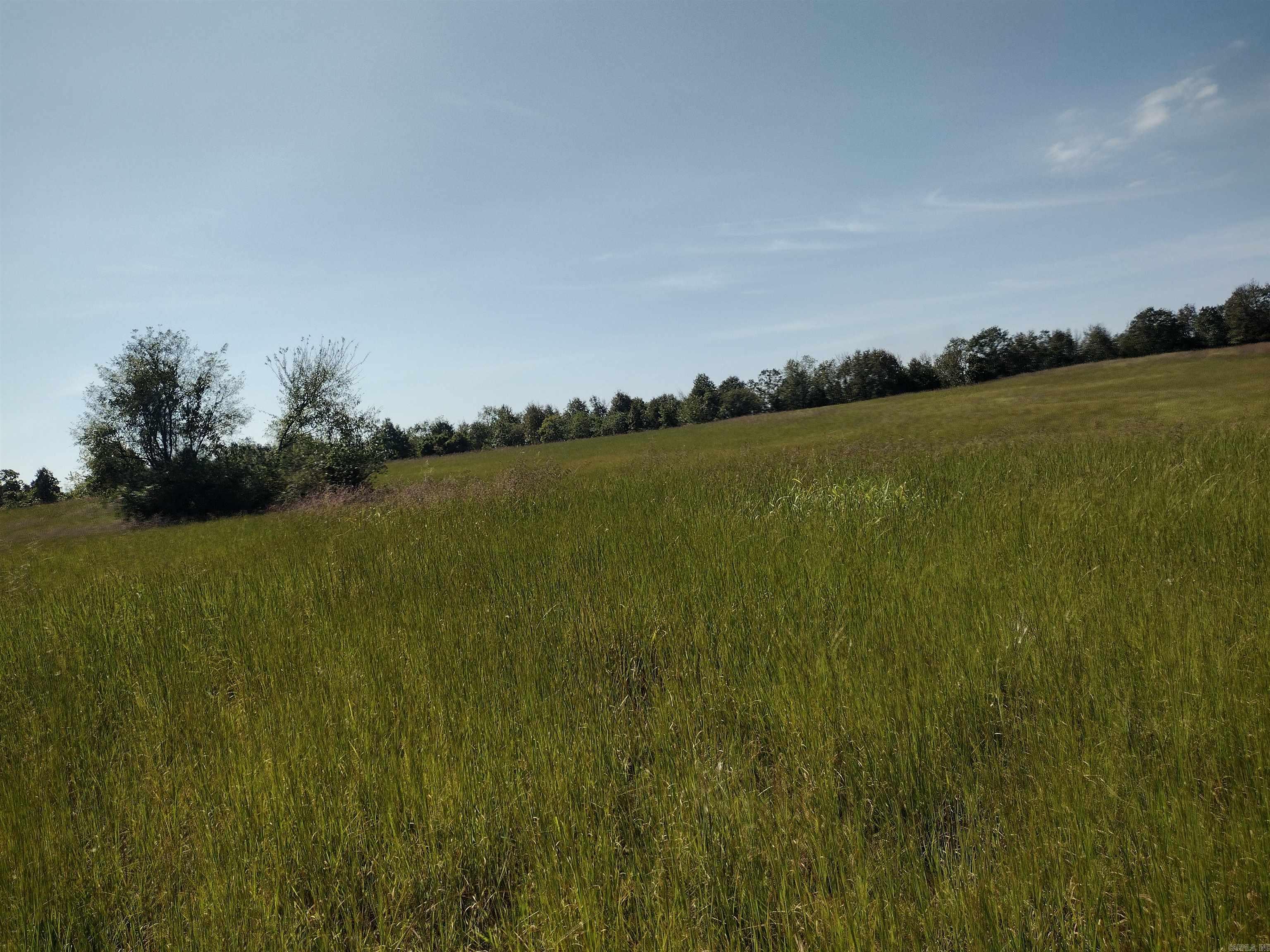 0 Toad Hollow Rd Property Photo 15