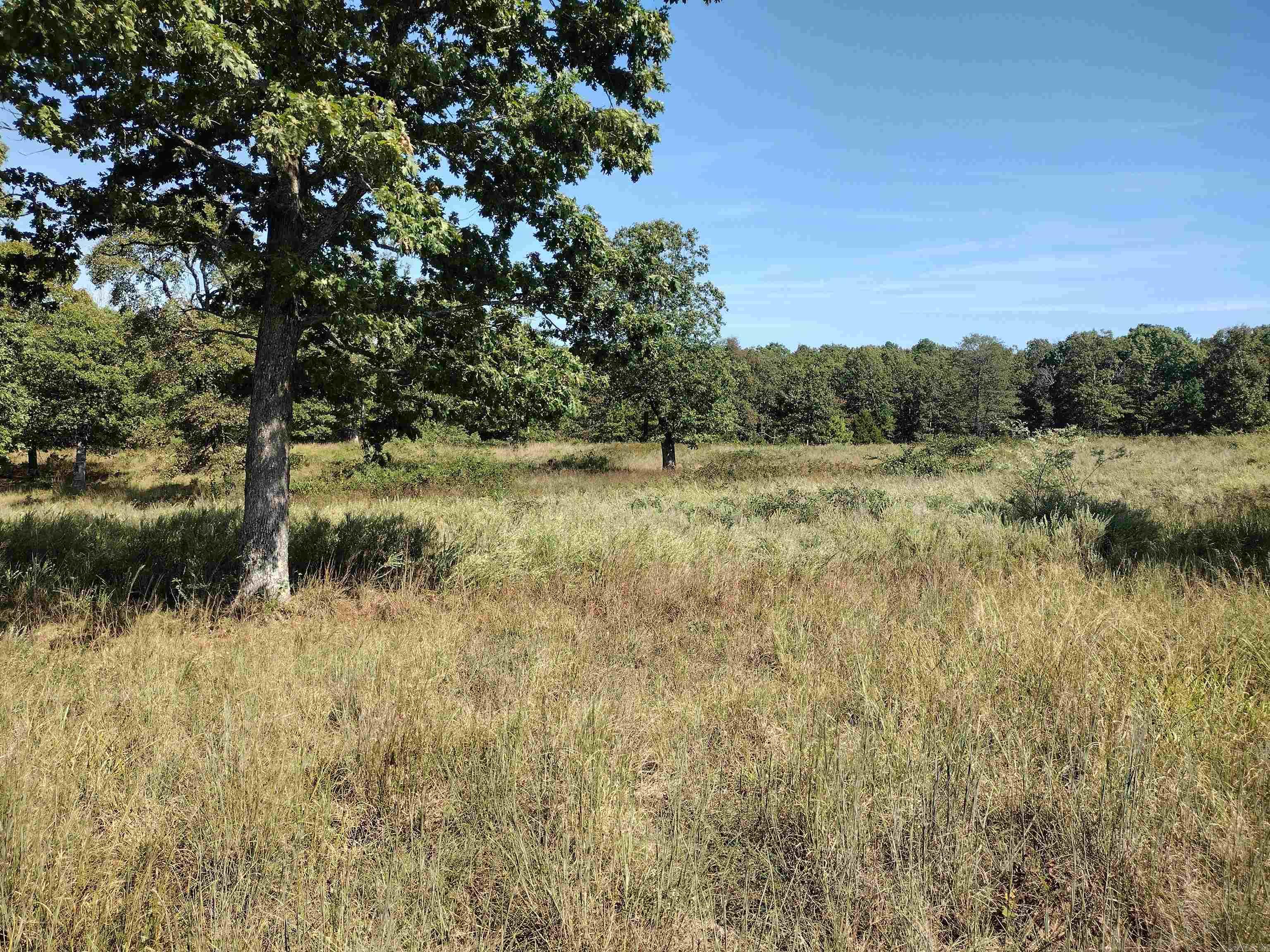0 Toad Hollow Rd Property Photo 16